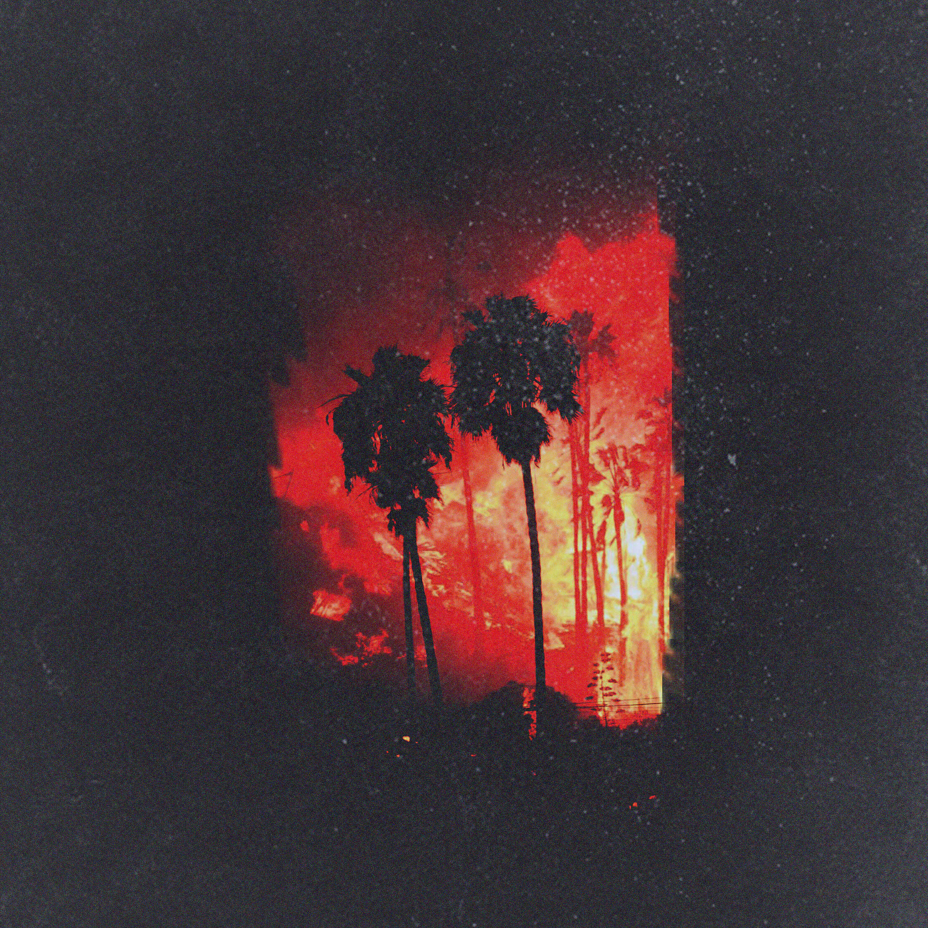 Релиз Palm City