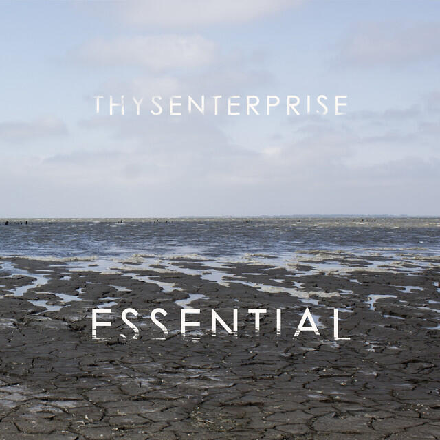 Thysenterprise