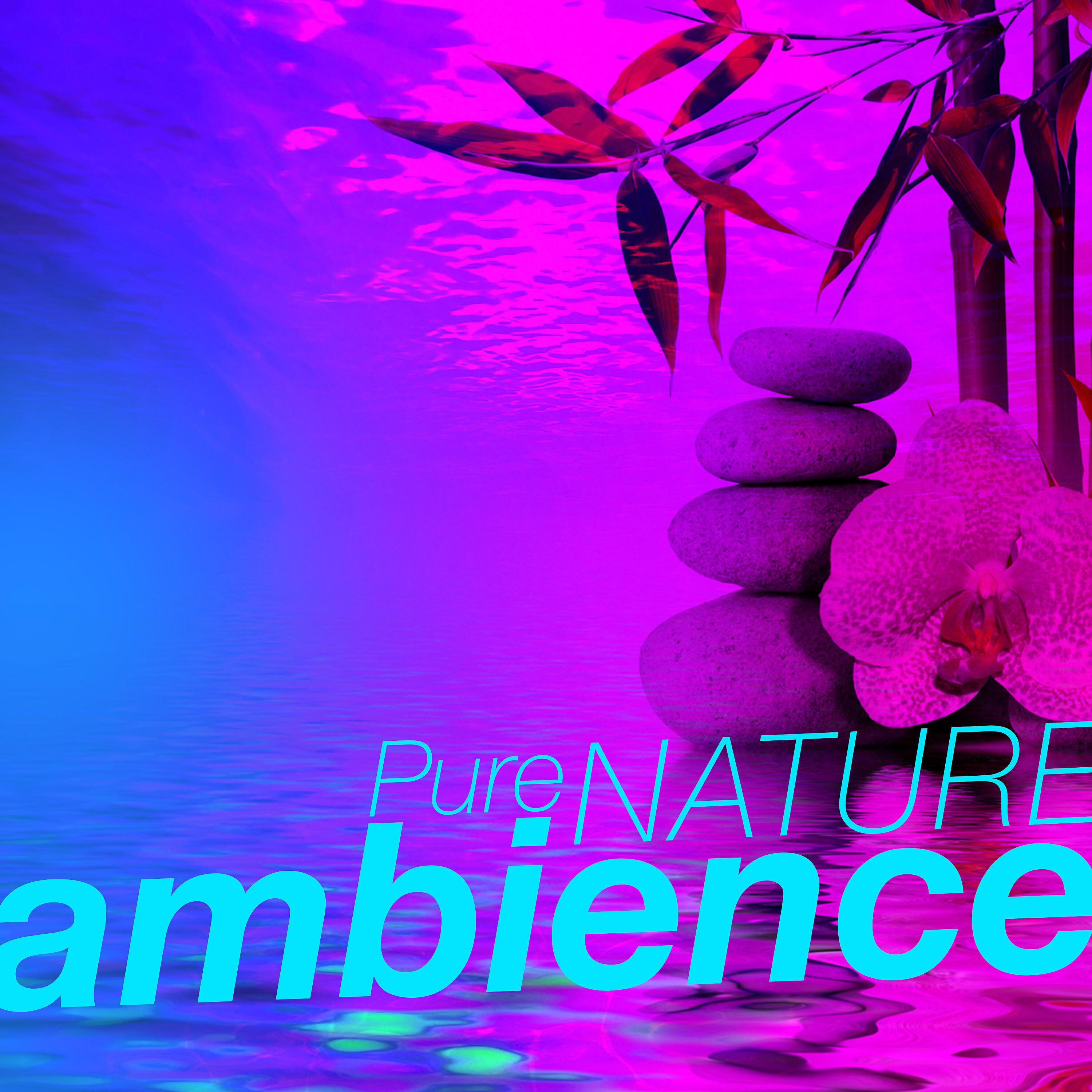 Релиз Pure Nature Ambience