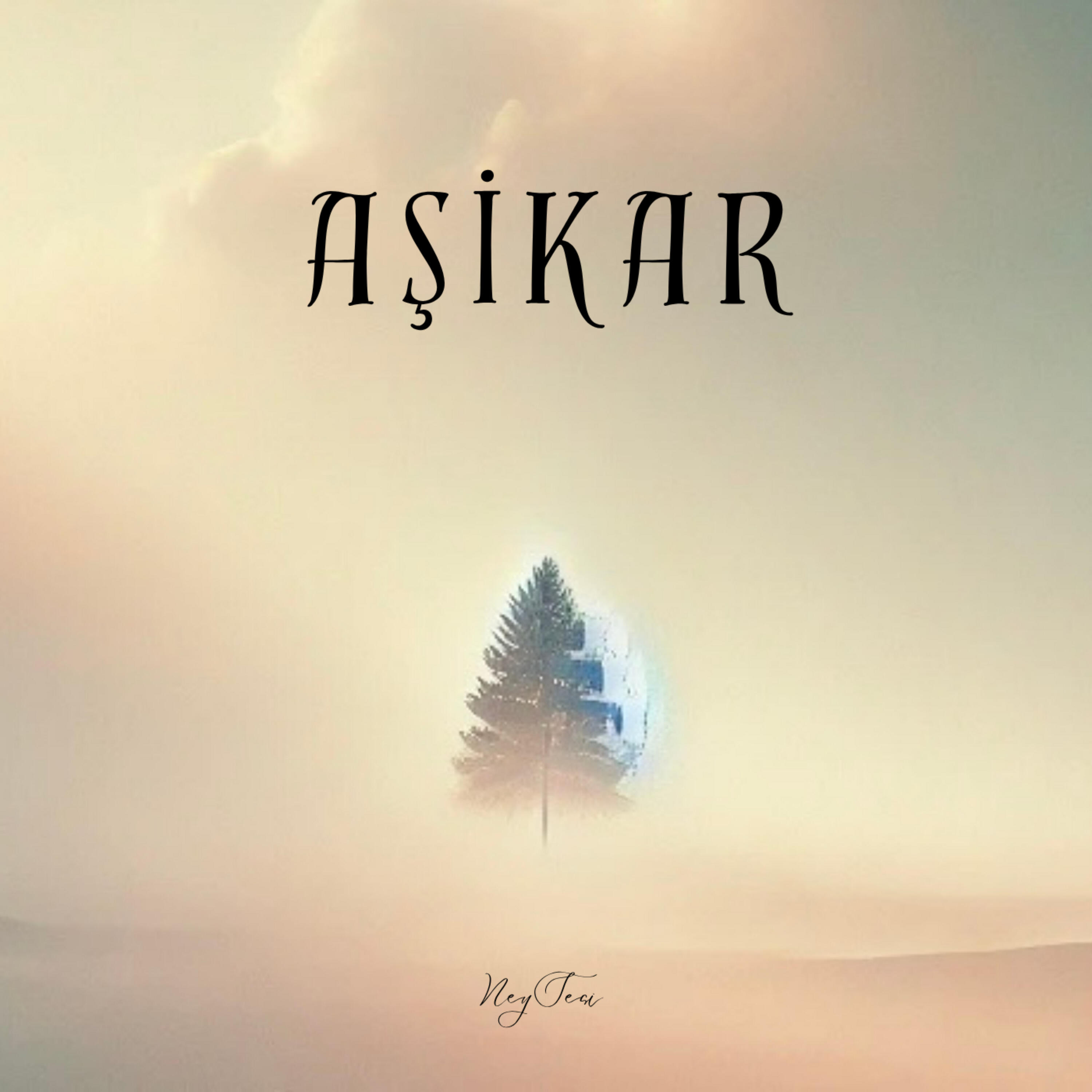 Релиз Aşikar