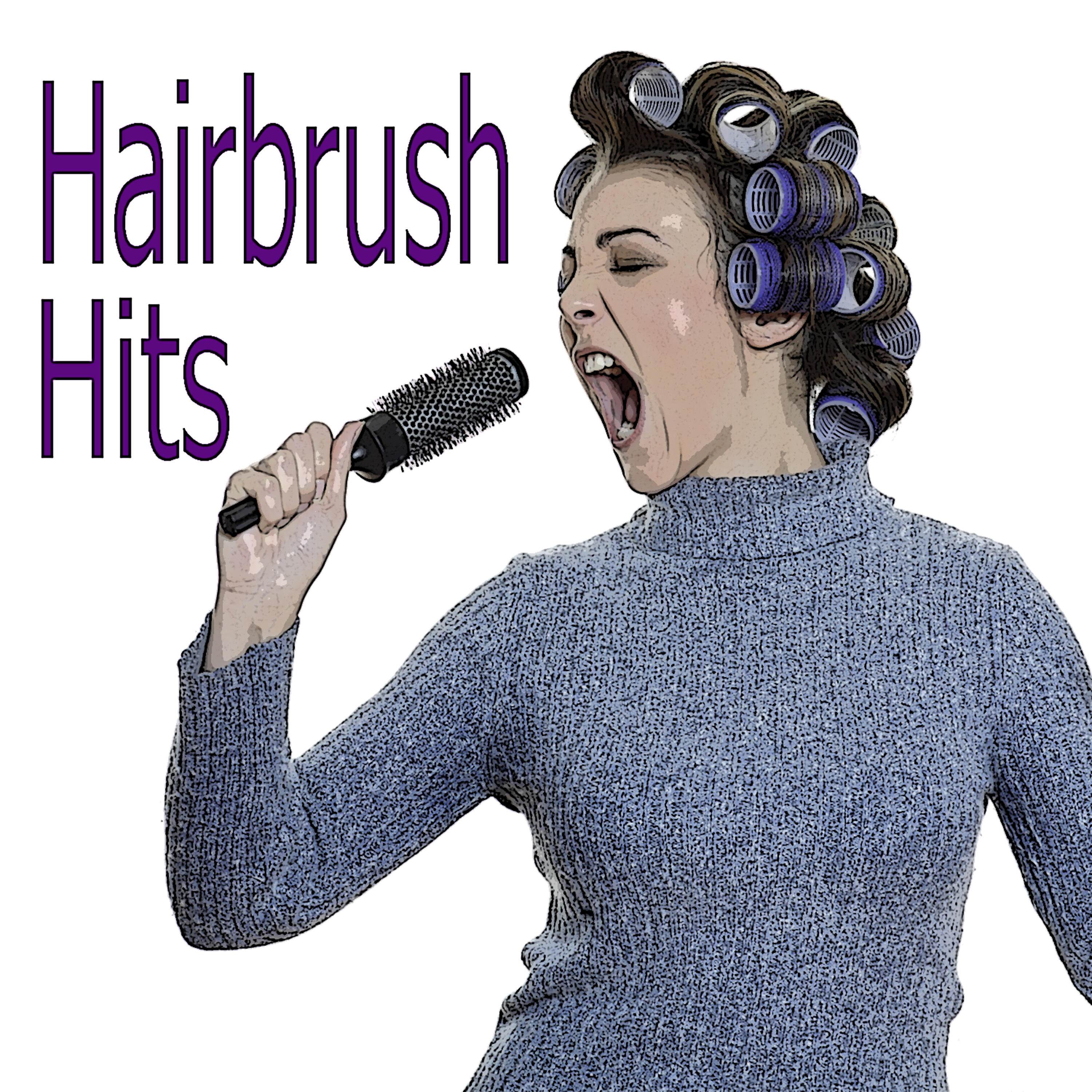 Постер альбома Hairbrush Hits