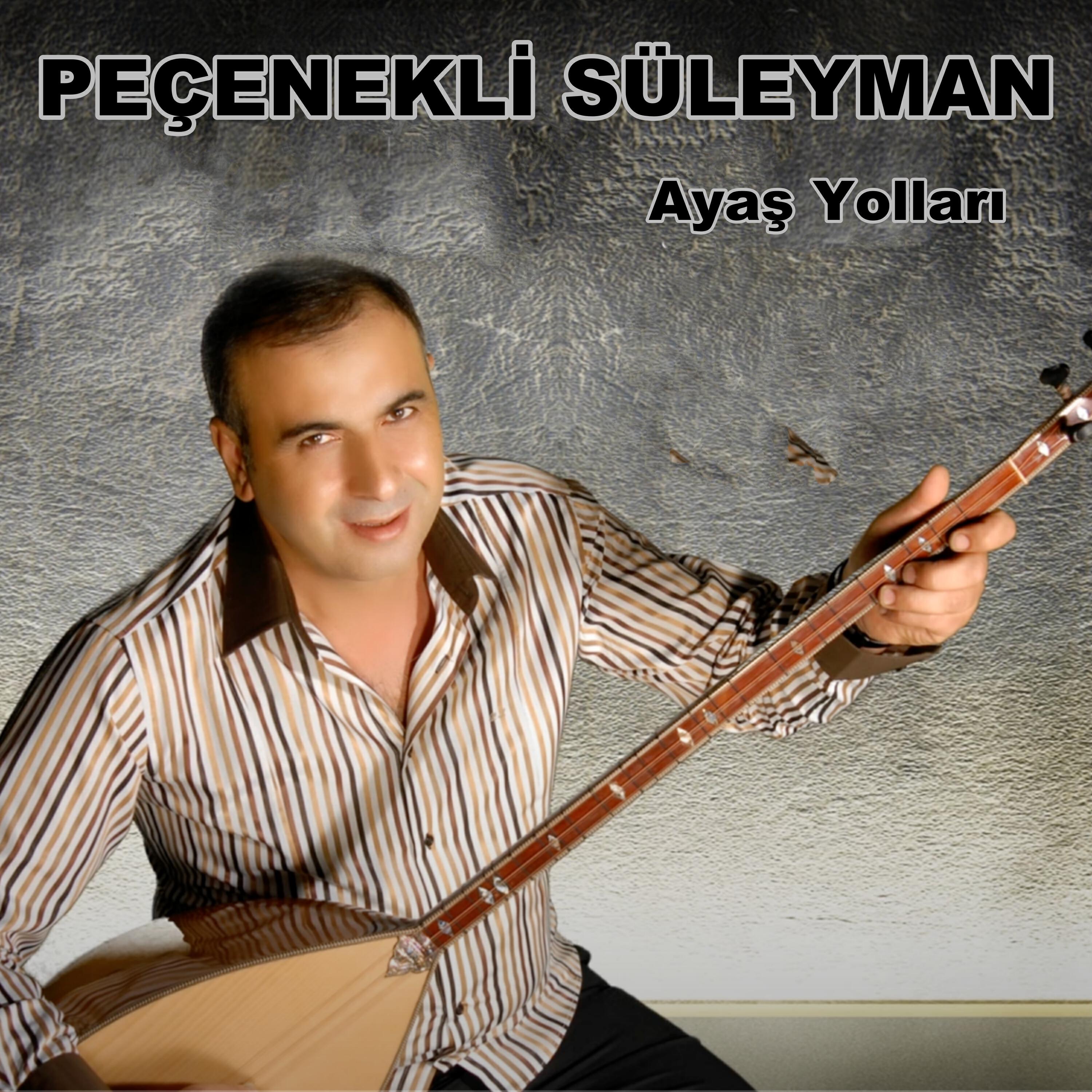 Релиз Ayaş Yolları