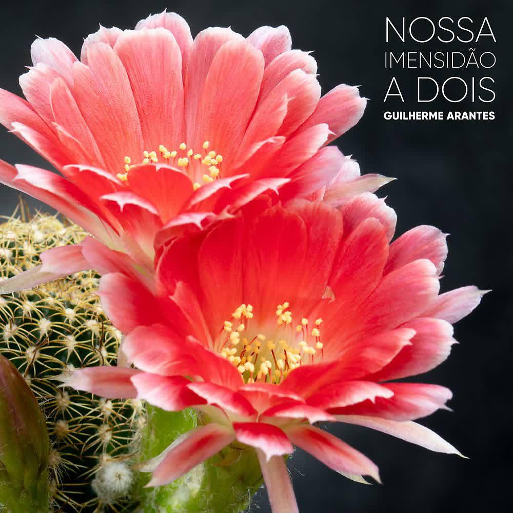 Релиз Nossa Imensidão a Dois
