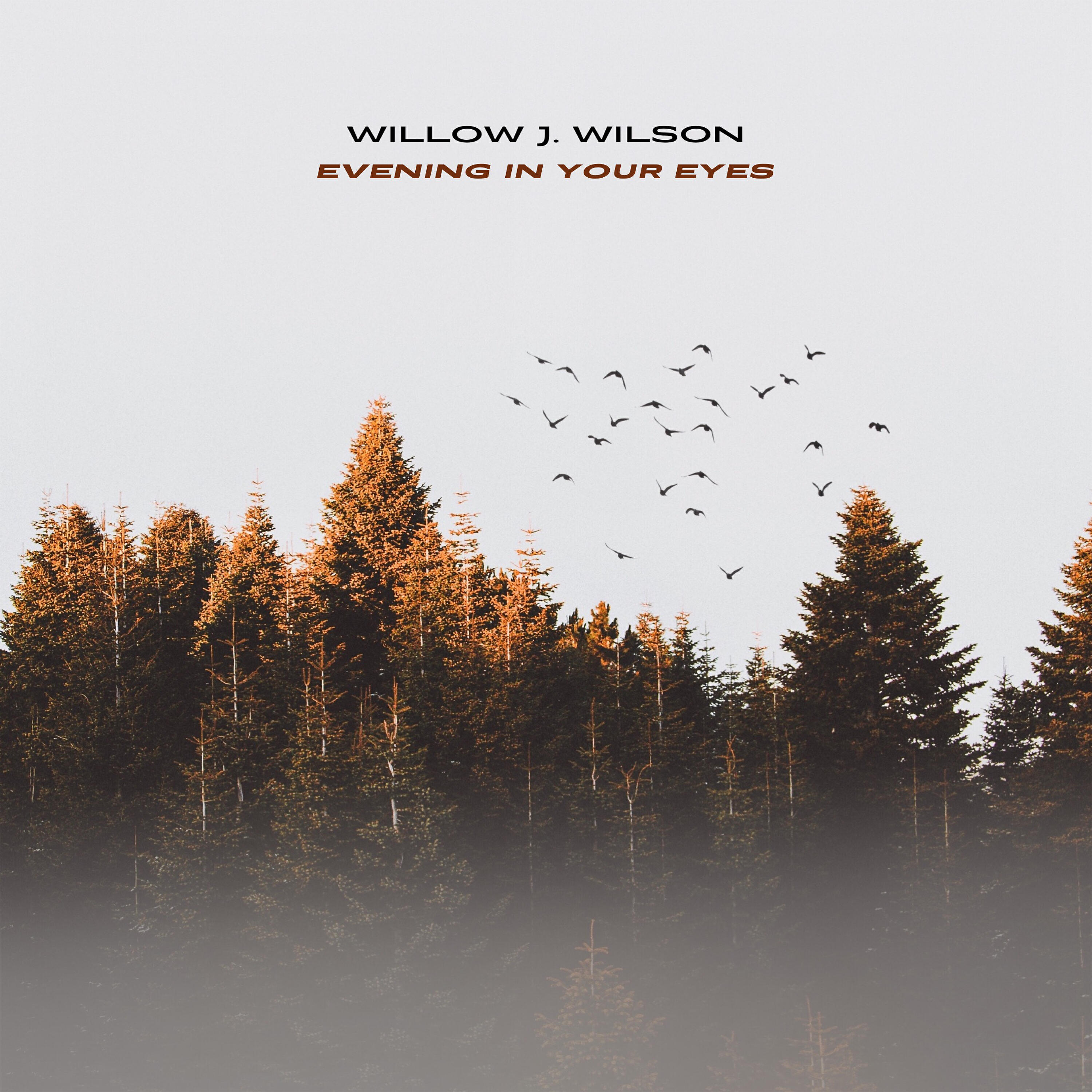 Релиз Evening In Your Eyes