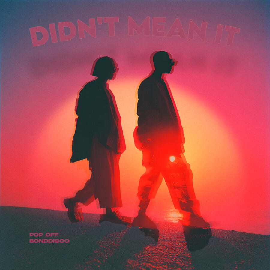 Релиз Didn't Mean It