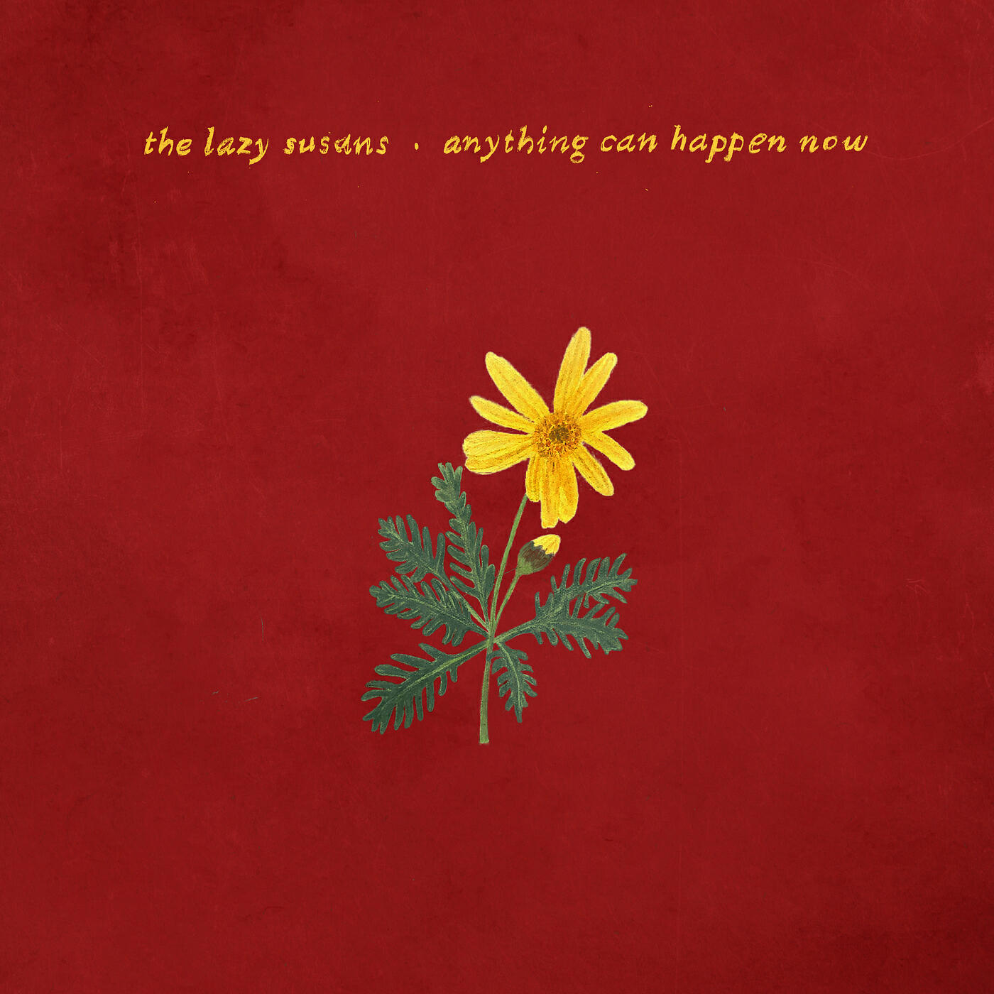 Релиз Anything Can Happen Now