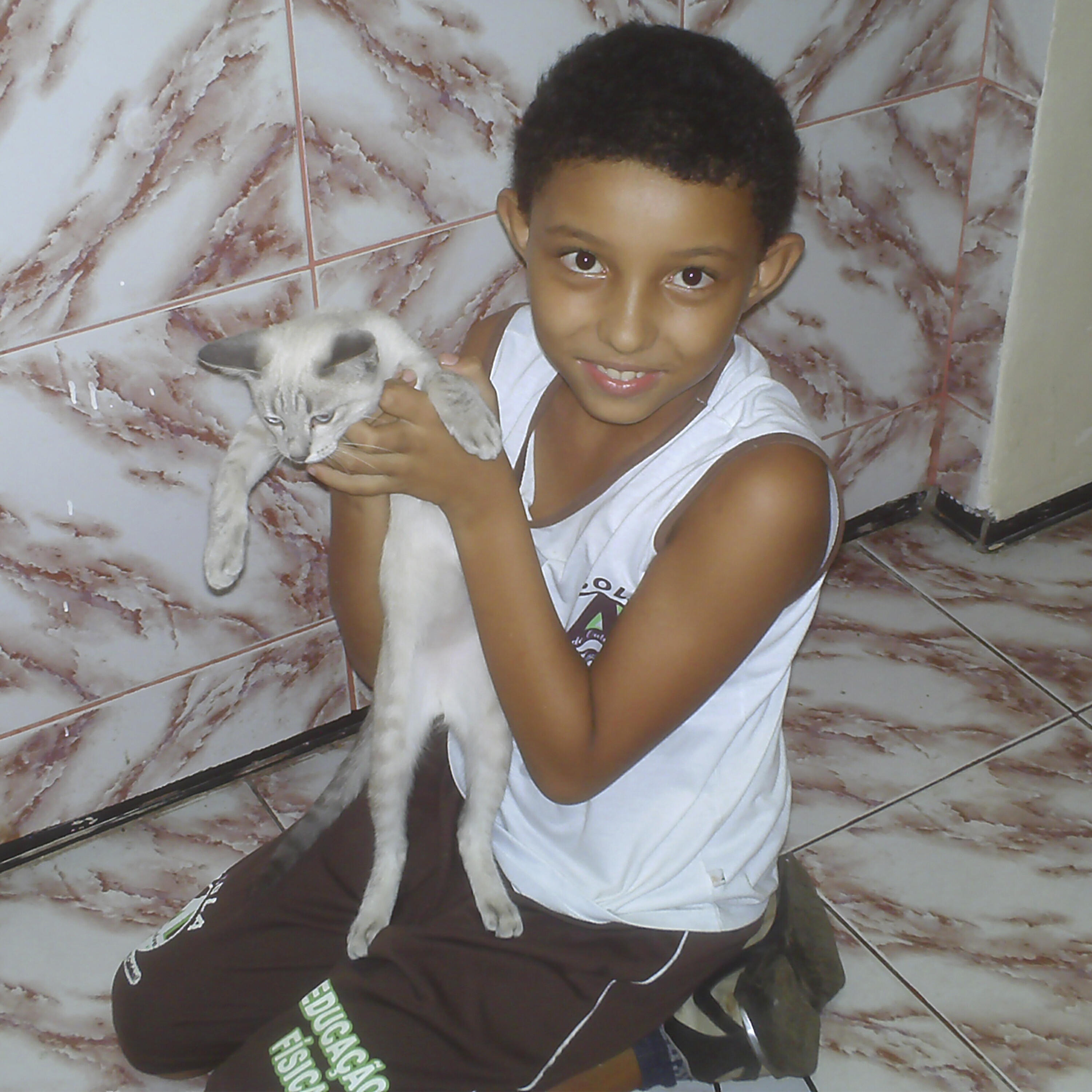 Preto Mestiço
