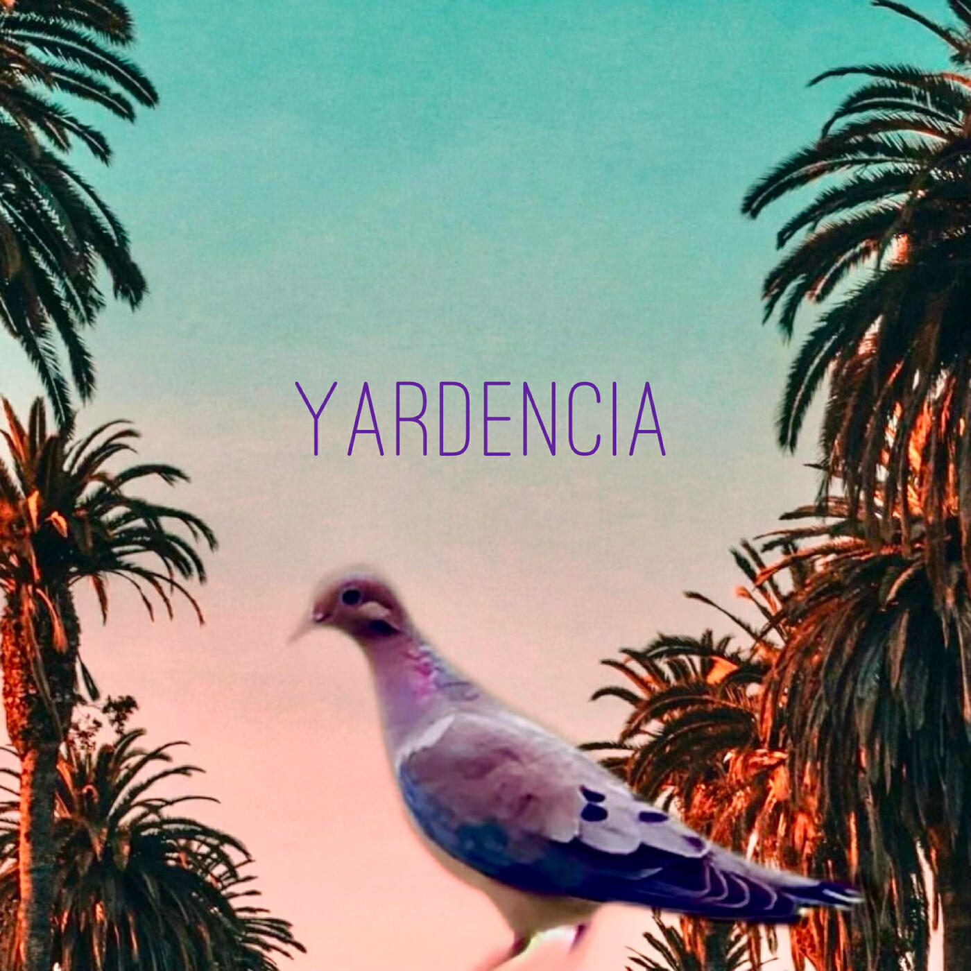 Релиз Yardencia