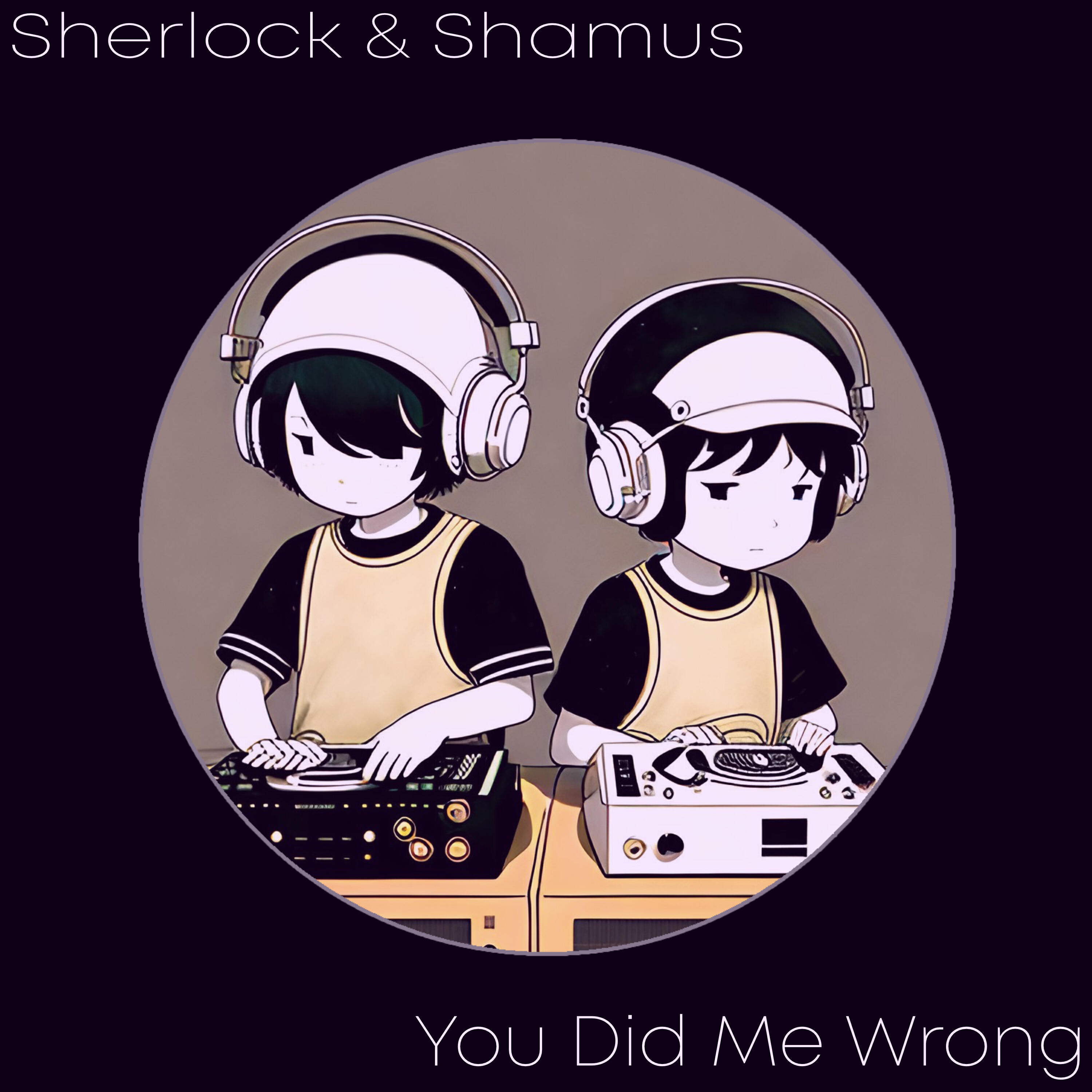 Релиз You Did Me Wrong
