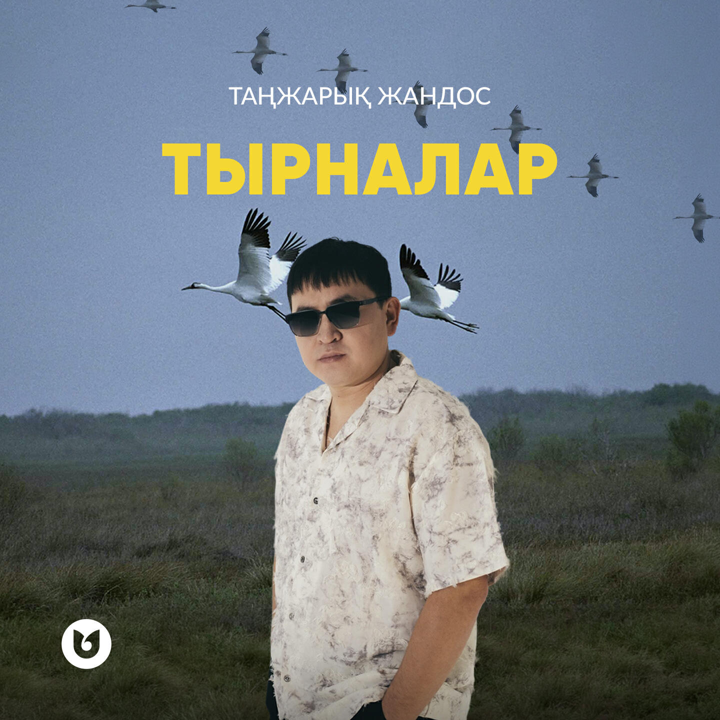 Релиз Тырналар