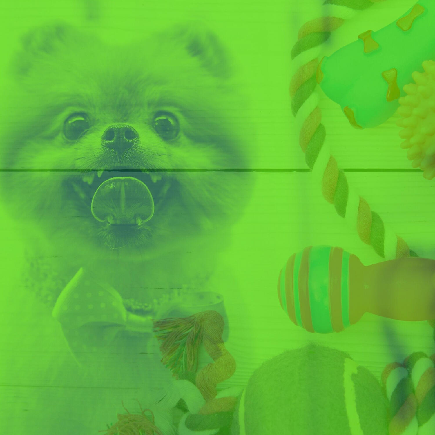 Релиз Music for Relaxing Your Dog
