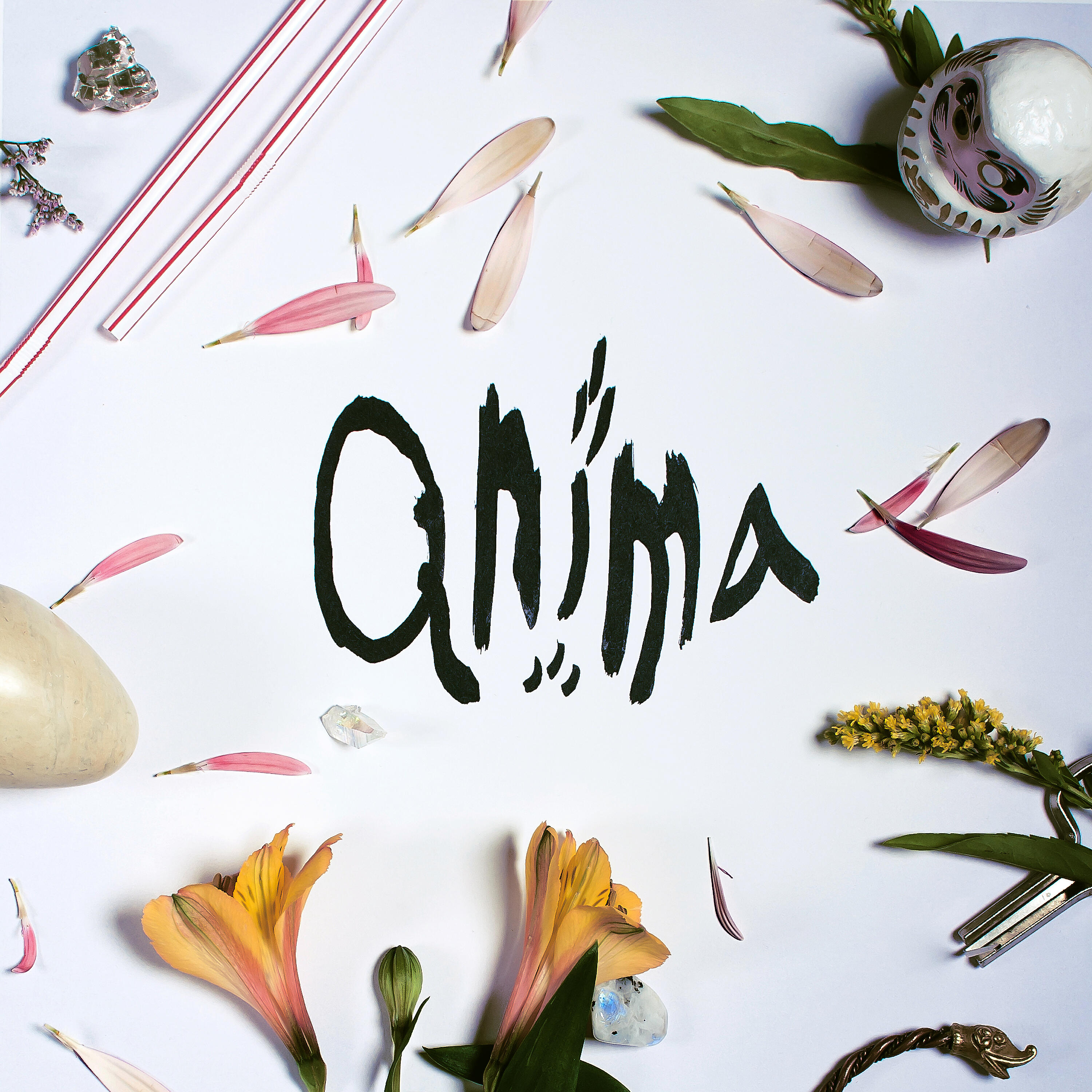Релиз Anima