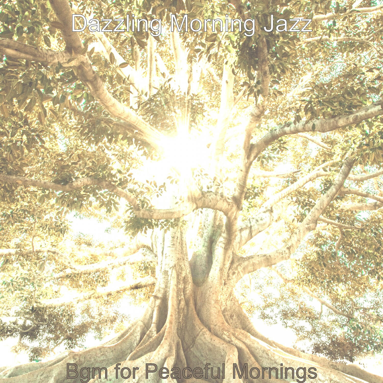 Dazzling Morning Jazz