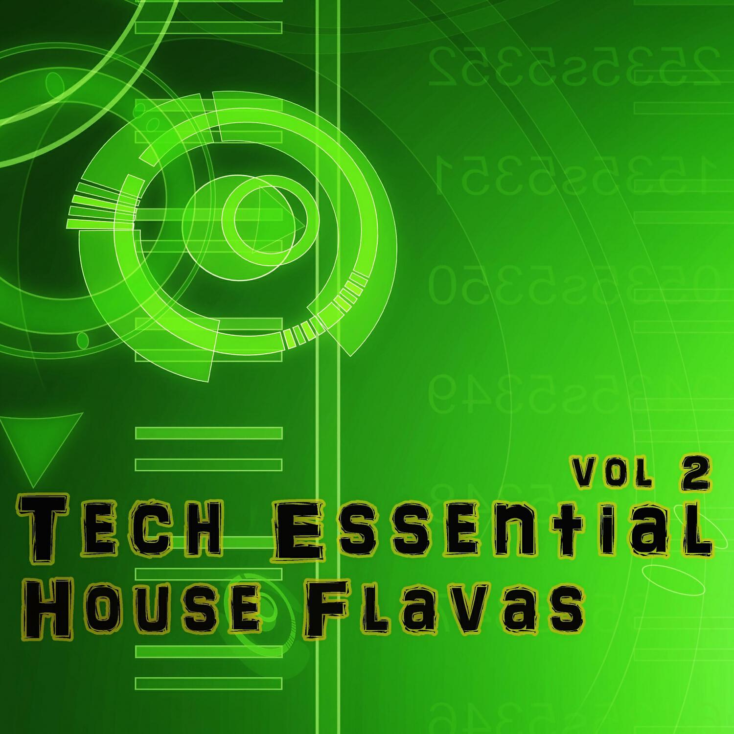 Релиз Tech Essential House Flavas 2