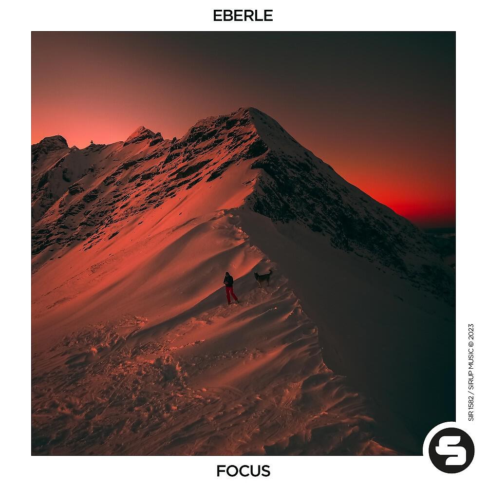 Релиз Focus