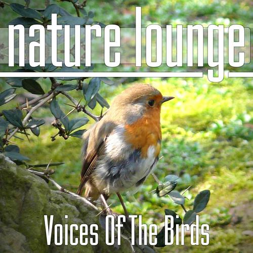 Релиз Voices Of The Birds