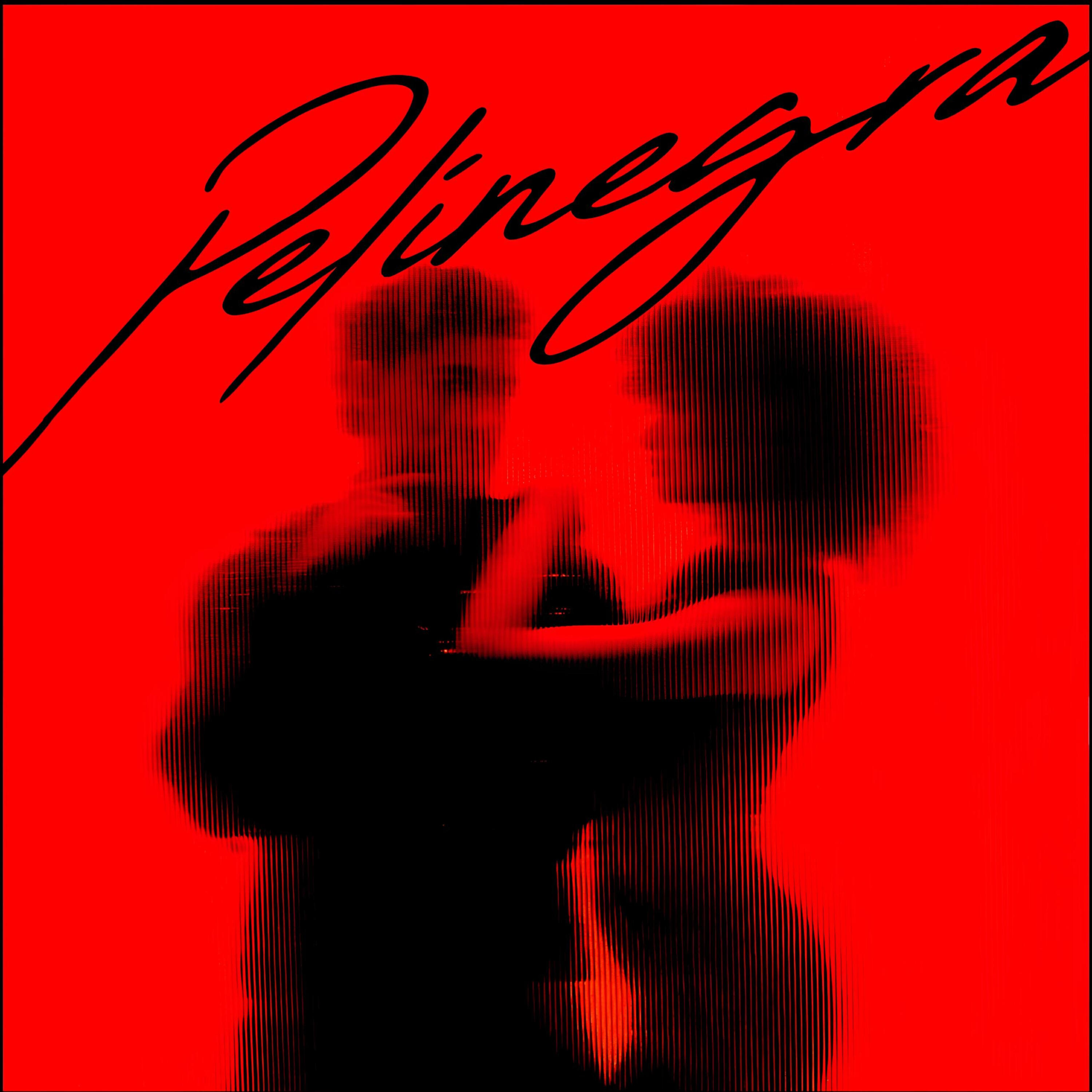 Релиз Pelinegra