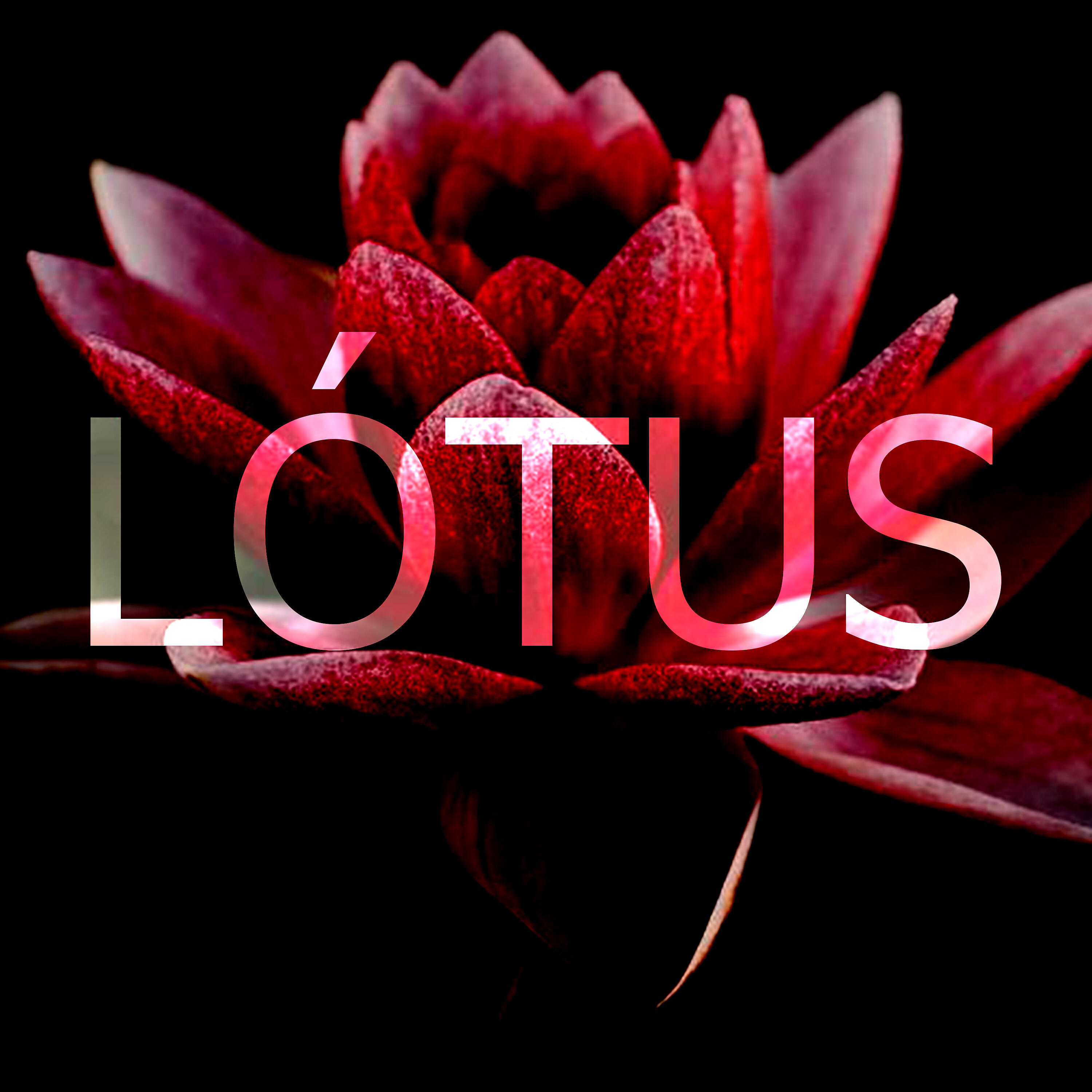 Релиз Lótus
