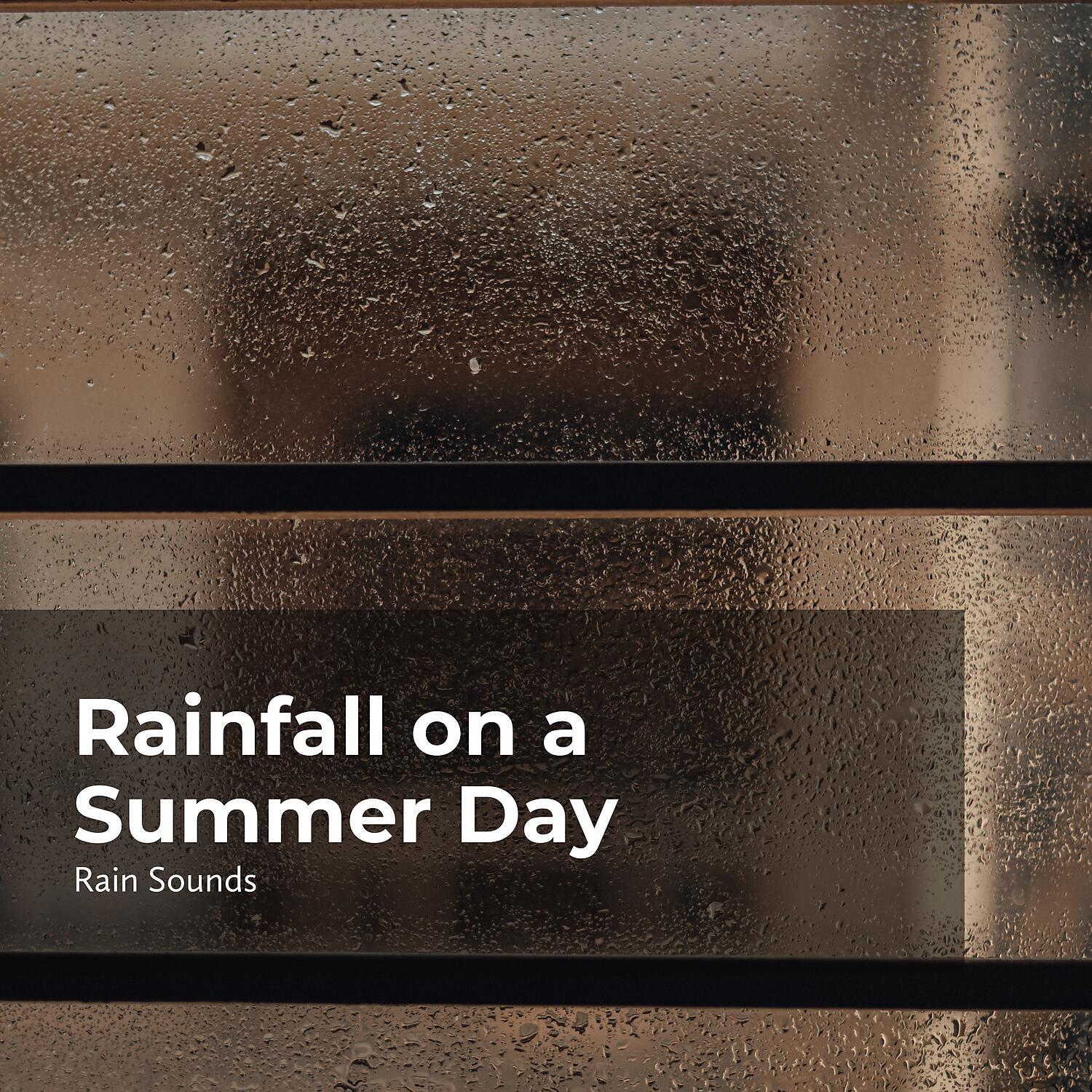 Релиз Rainfall on a Summer Day