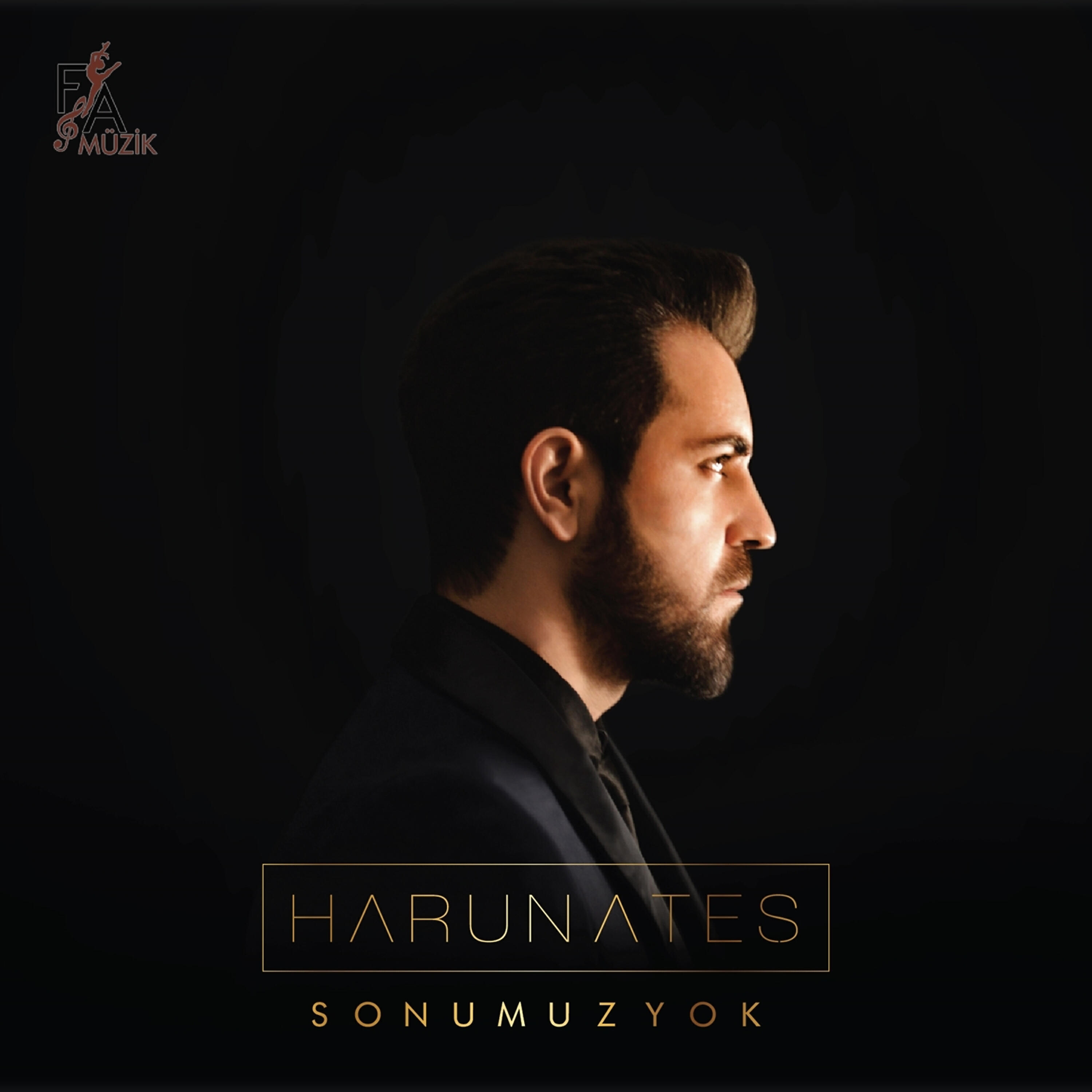 Релиз Sonumuz Yok