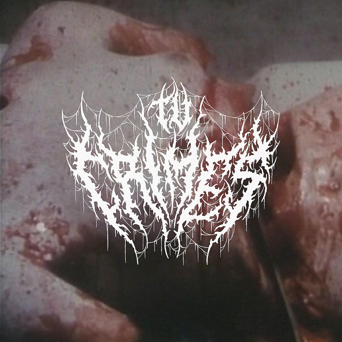 Релиз Wonderland