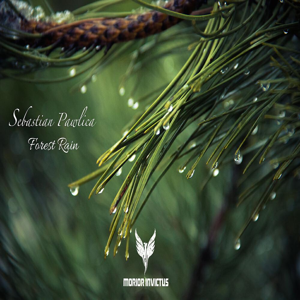 Релиз Forest Rain