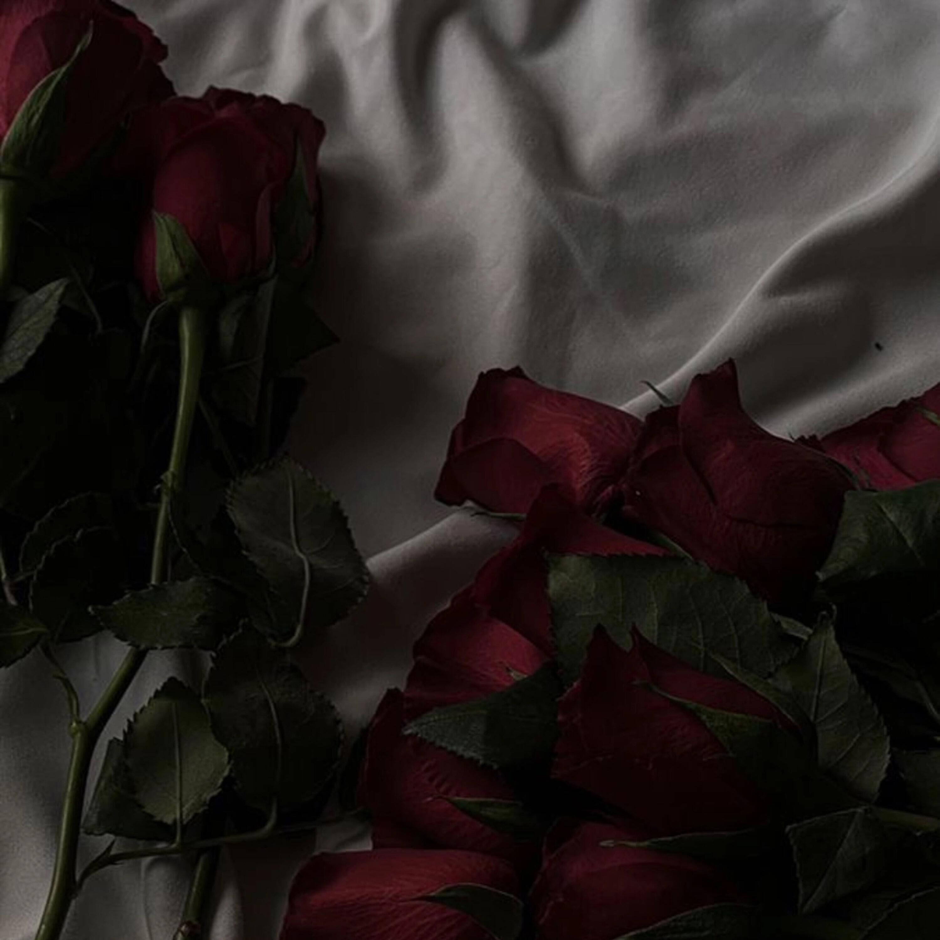 REDDROSE