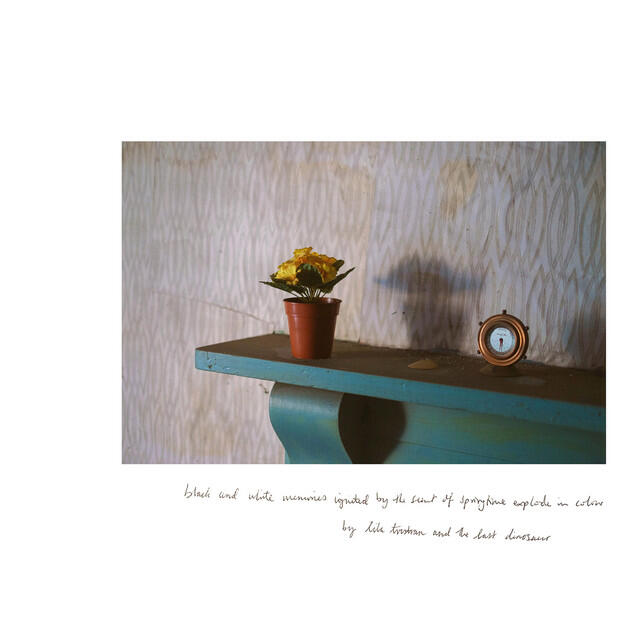 Релиз Golden Thumb