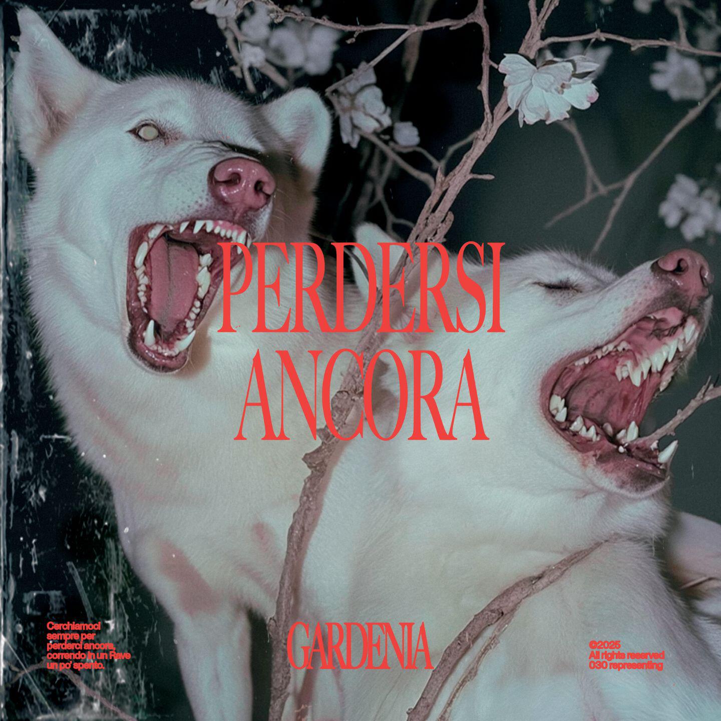 Релиз Perdersi ancora