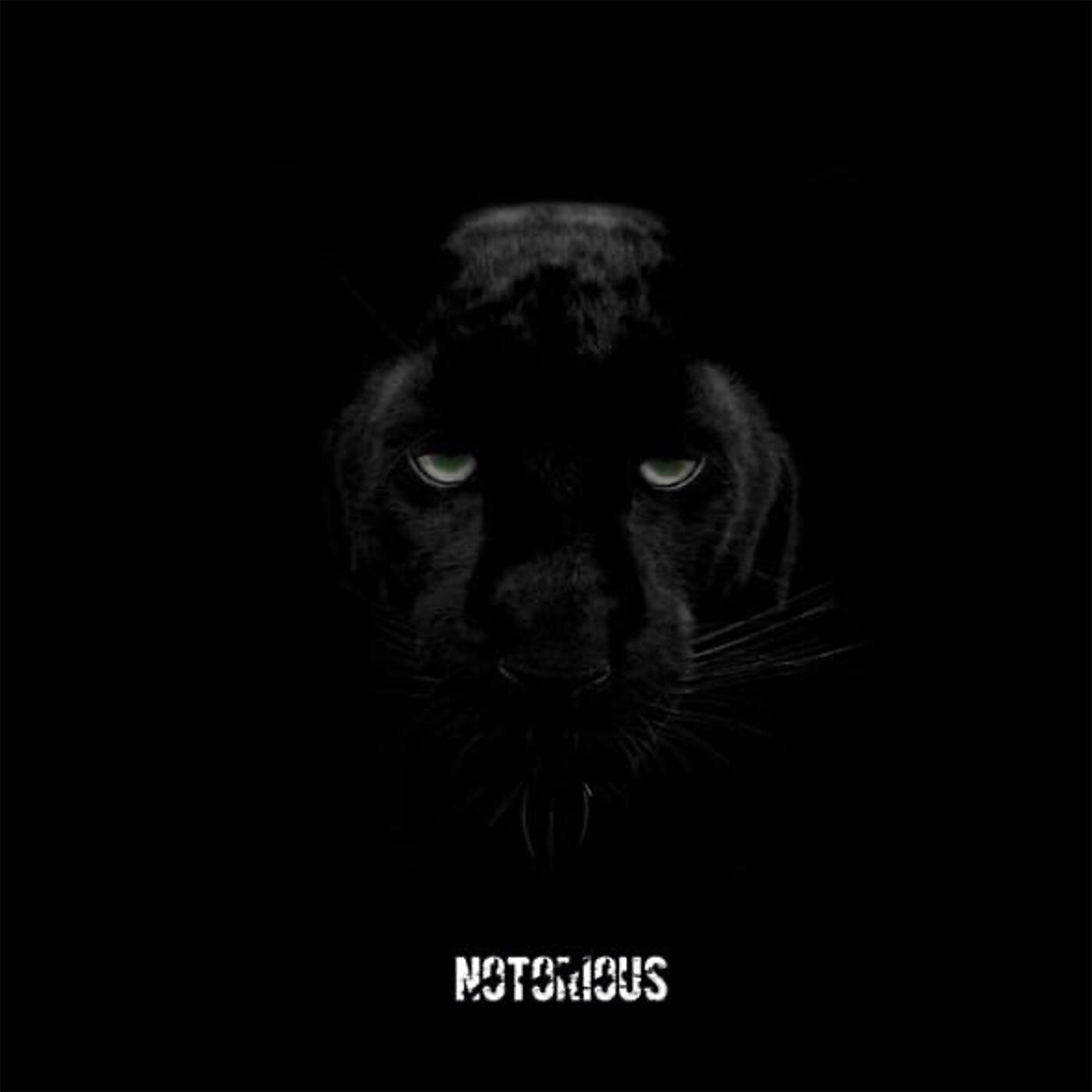 Релиз Notorious