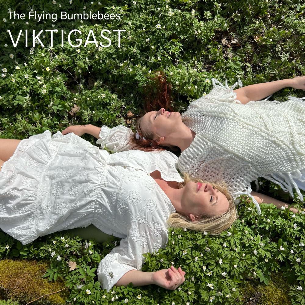 Релиз Viktigast