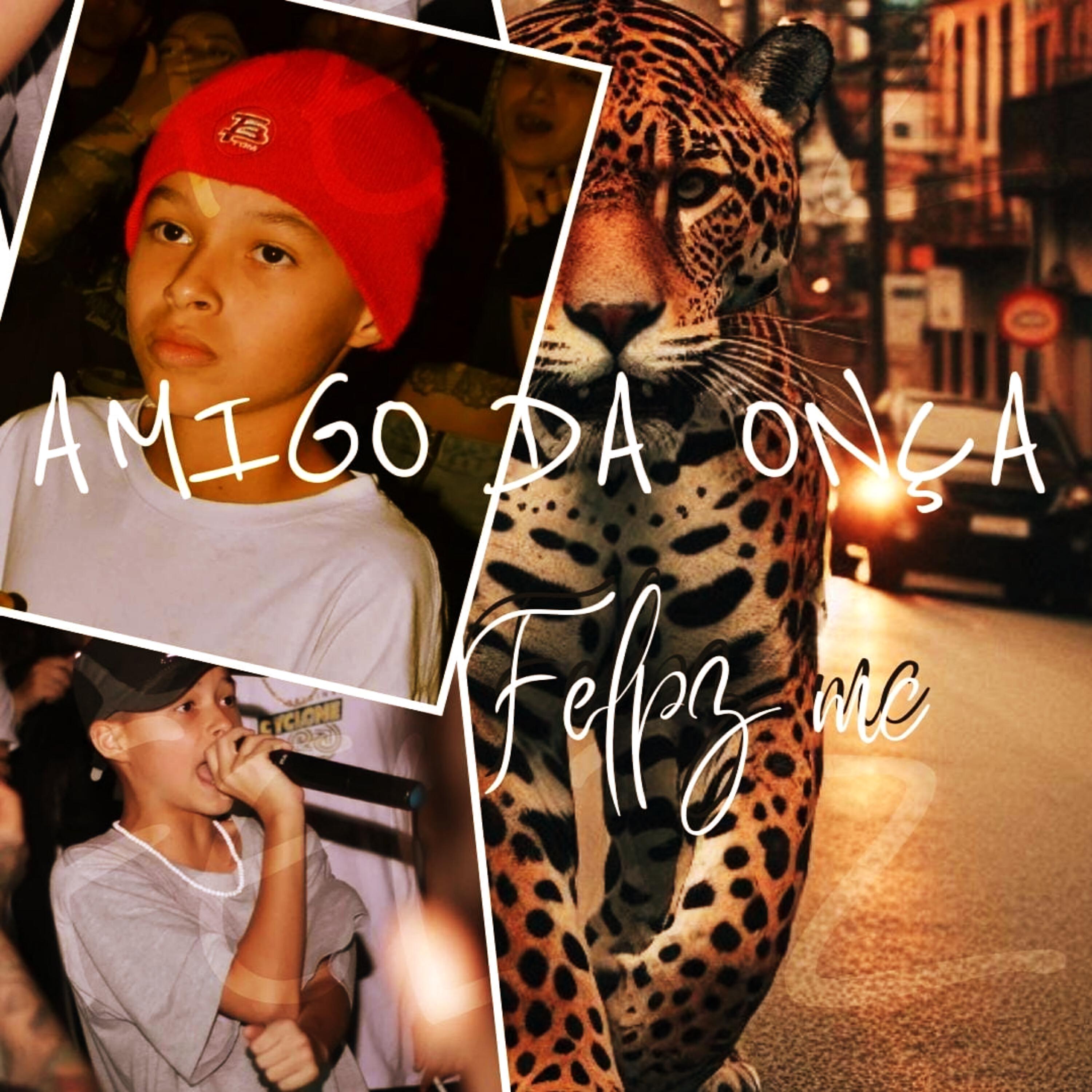 Релиз Amigo da Onça