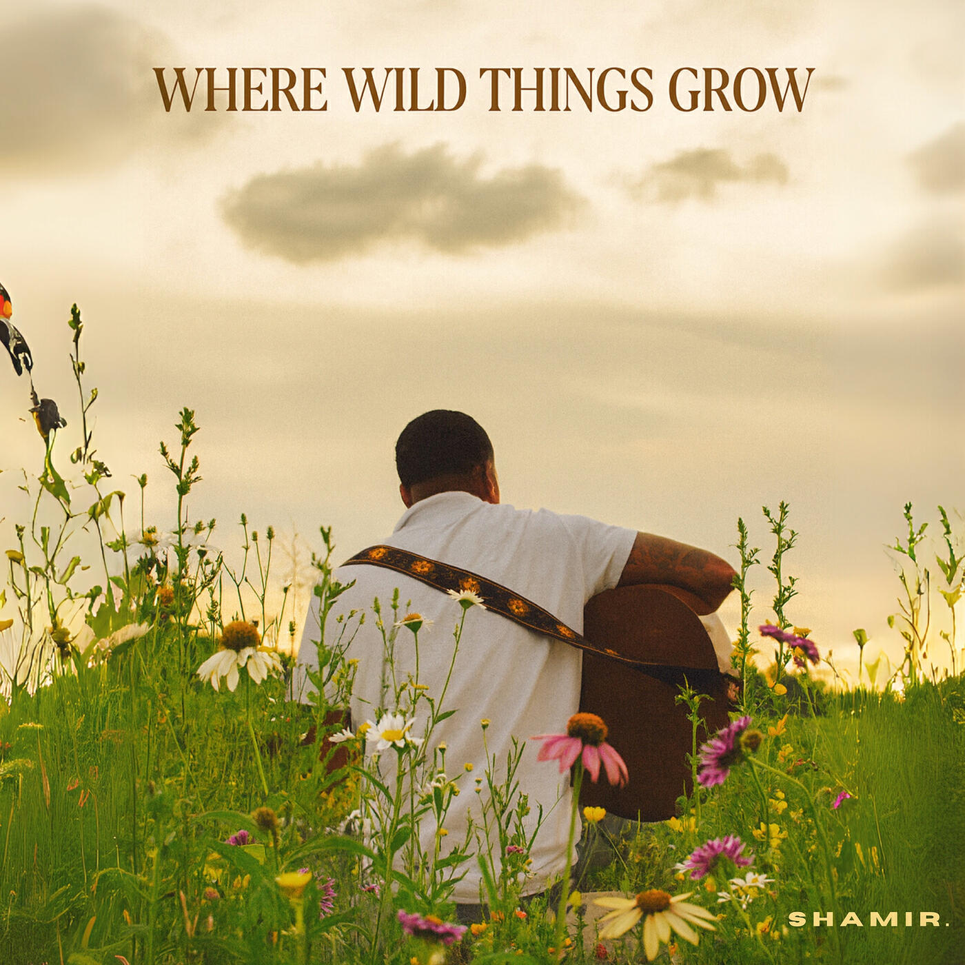 Релиз Where Wild Things Grow