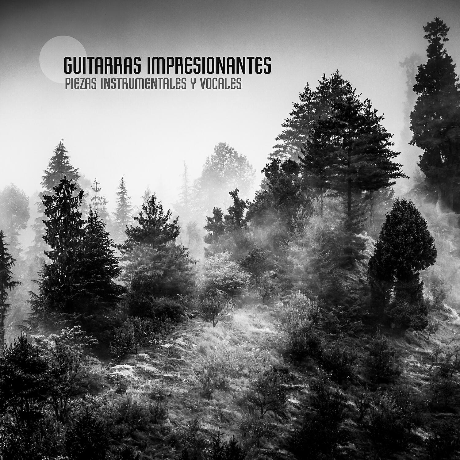 Релиз Guitarras Impresionantes: Piezas Instrumentales y Vocales