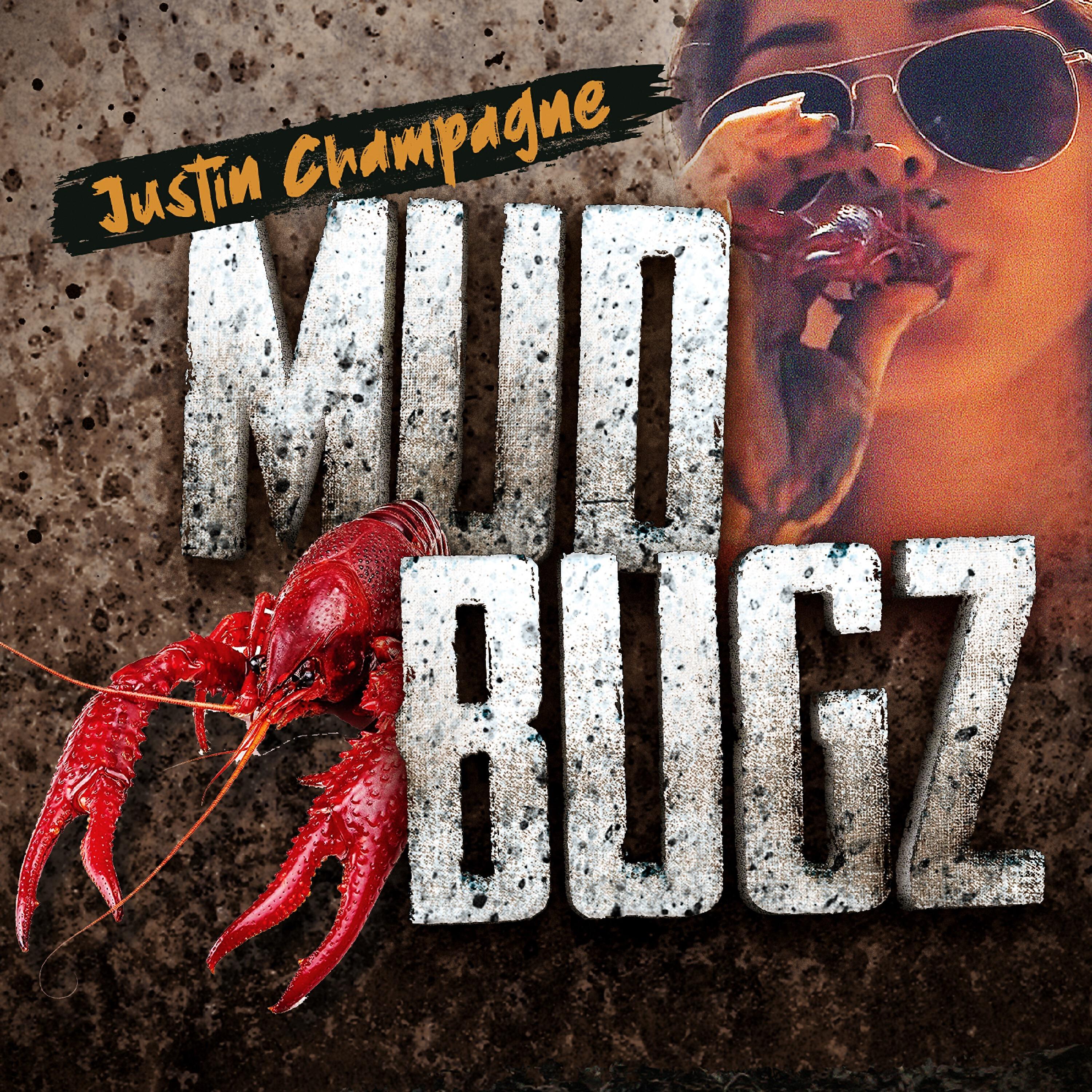 Релиз MudBugz