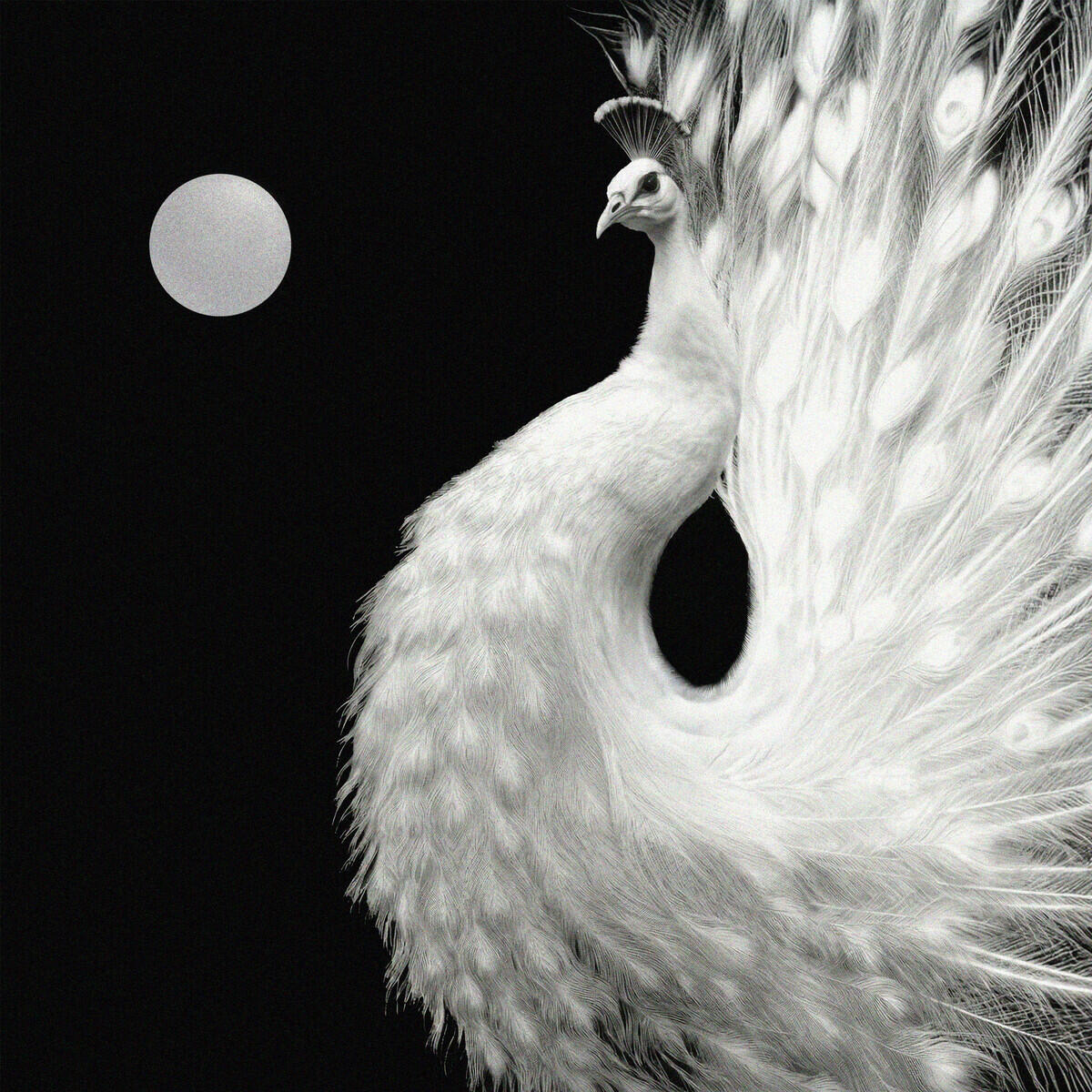 Crush, ZICO - Yin and Yang