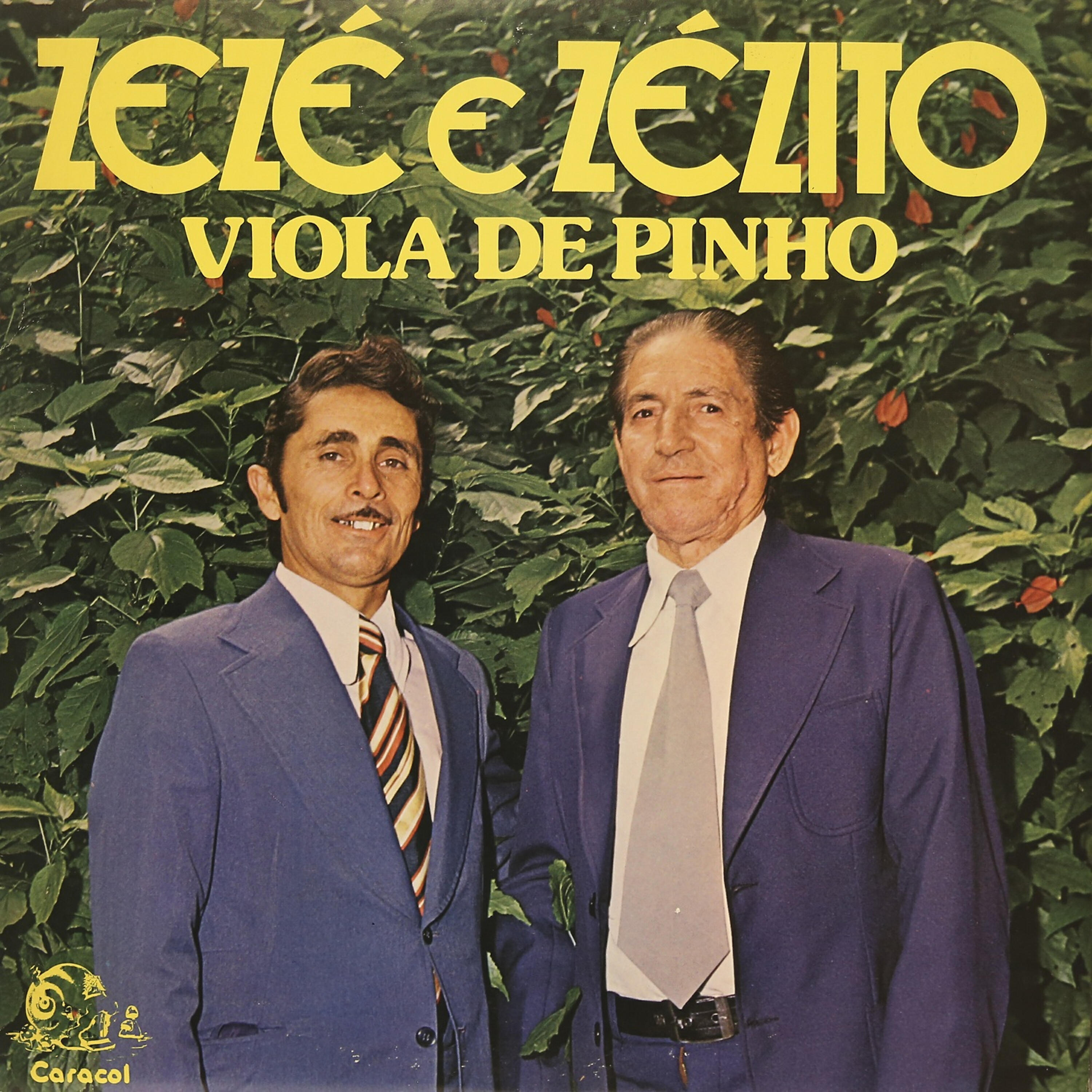 Релиз Viola de Pinho