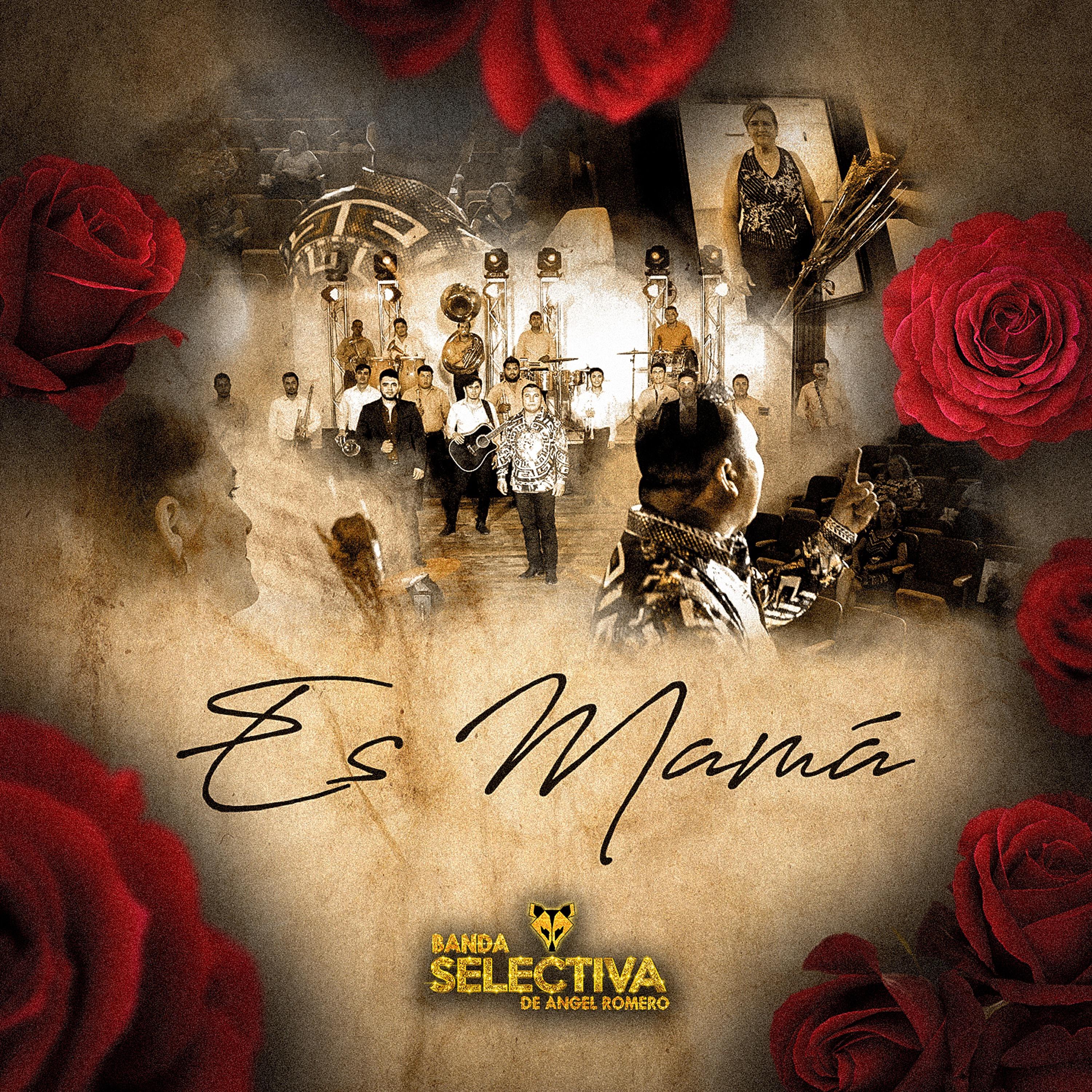 Banda Selectiva de Angel Romero "El Tacuache"