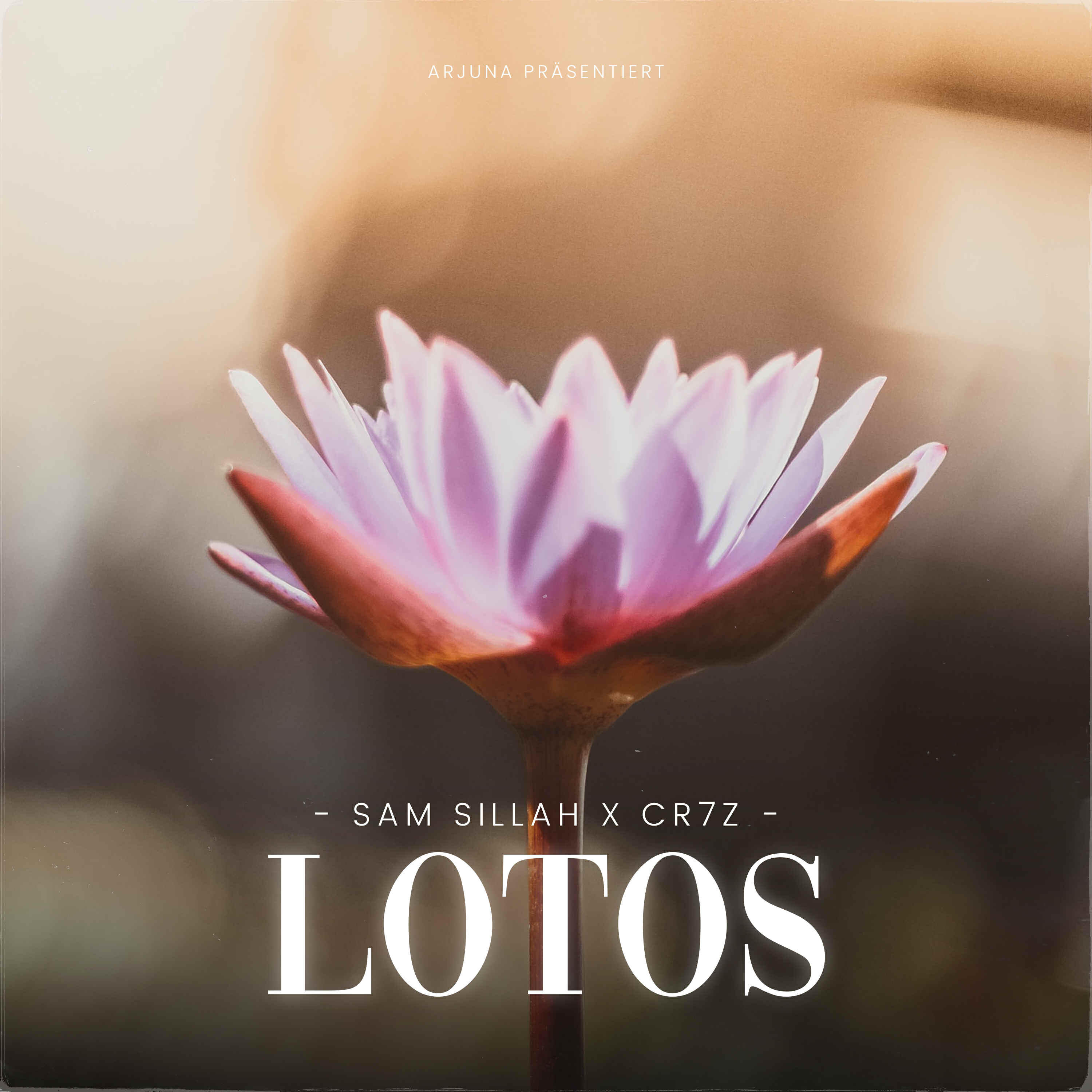 Релиз Lotos