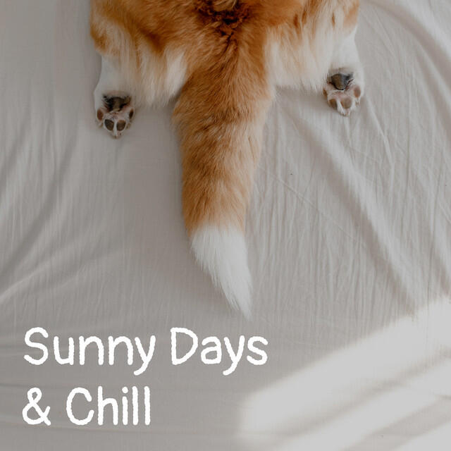 Релиз Sunny Days & Chill