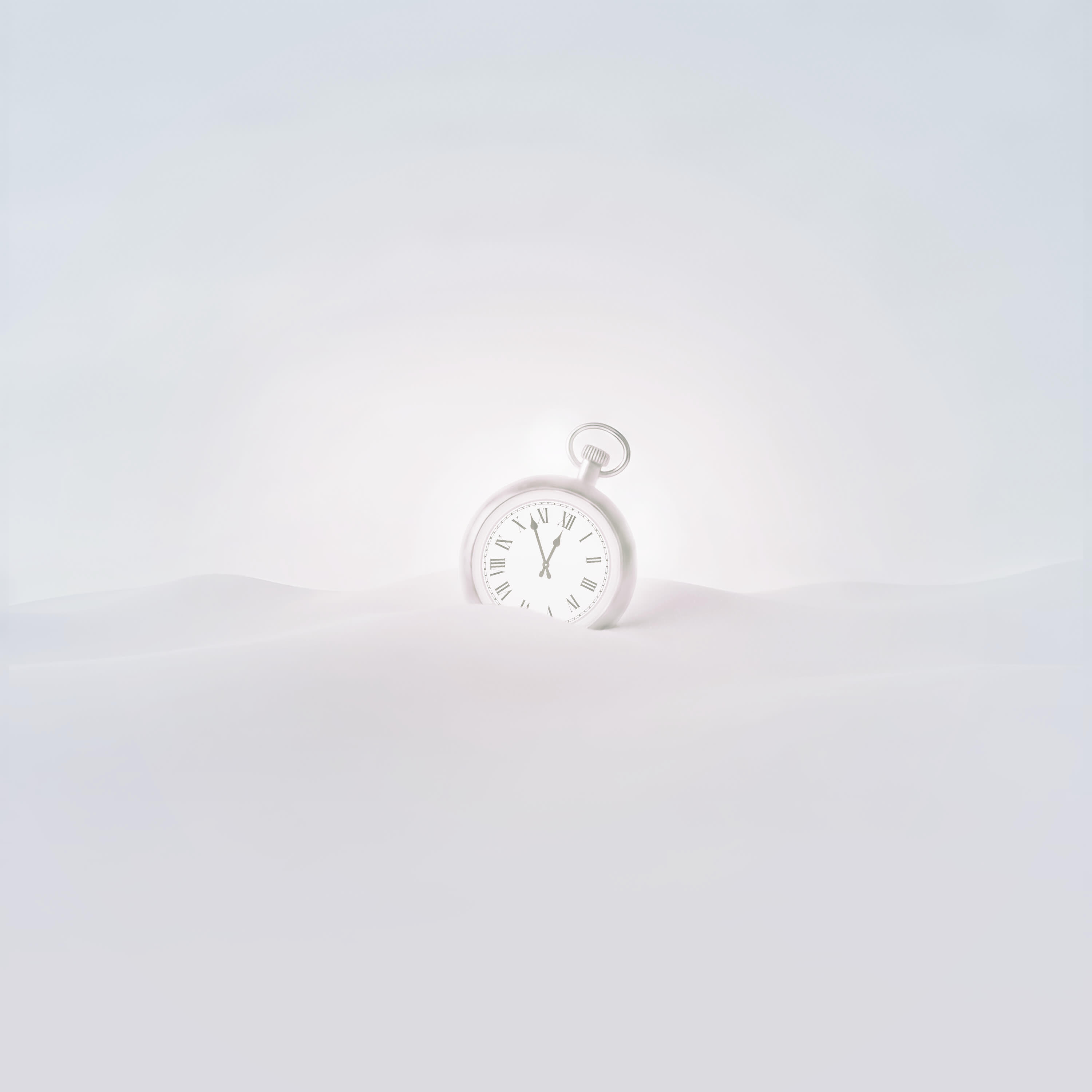 Релиз The Constant