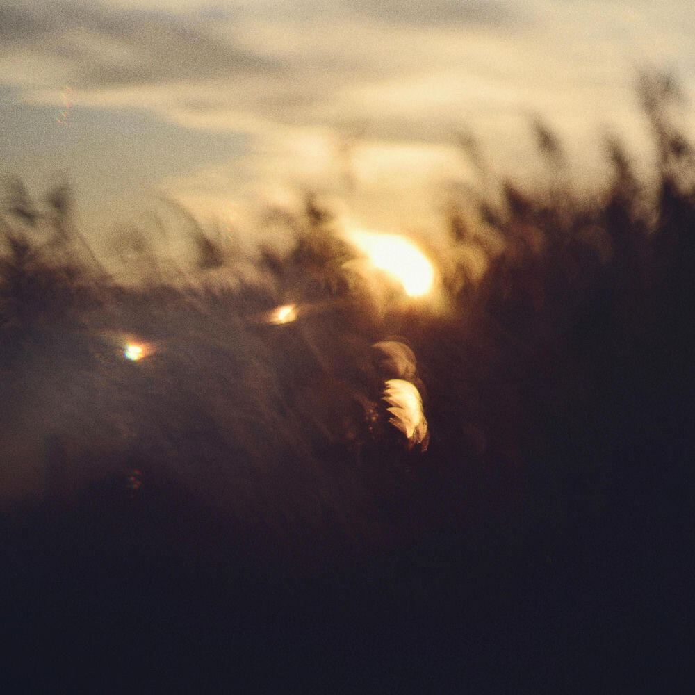 Релиз With You