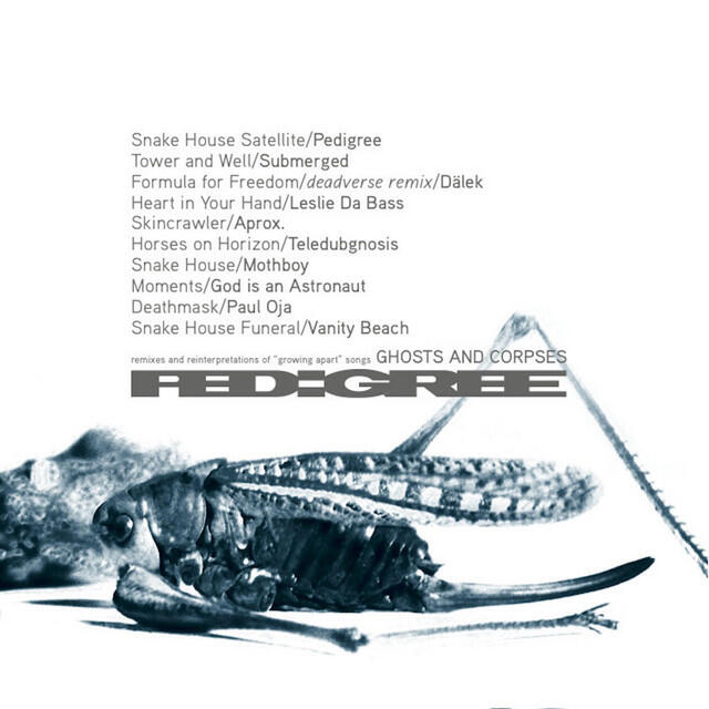 Релиз Ghosts and Corpses