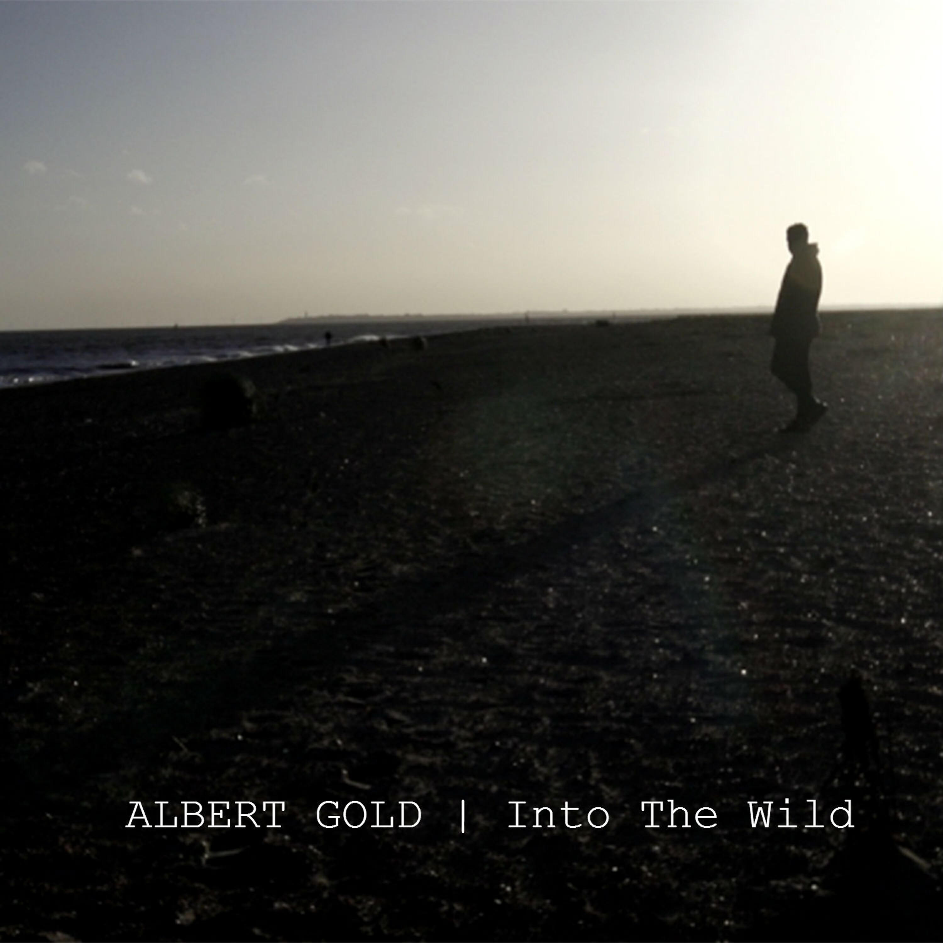 Релиз Into the Wild