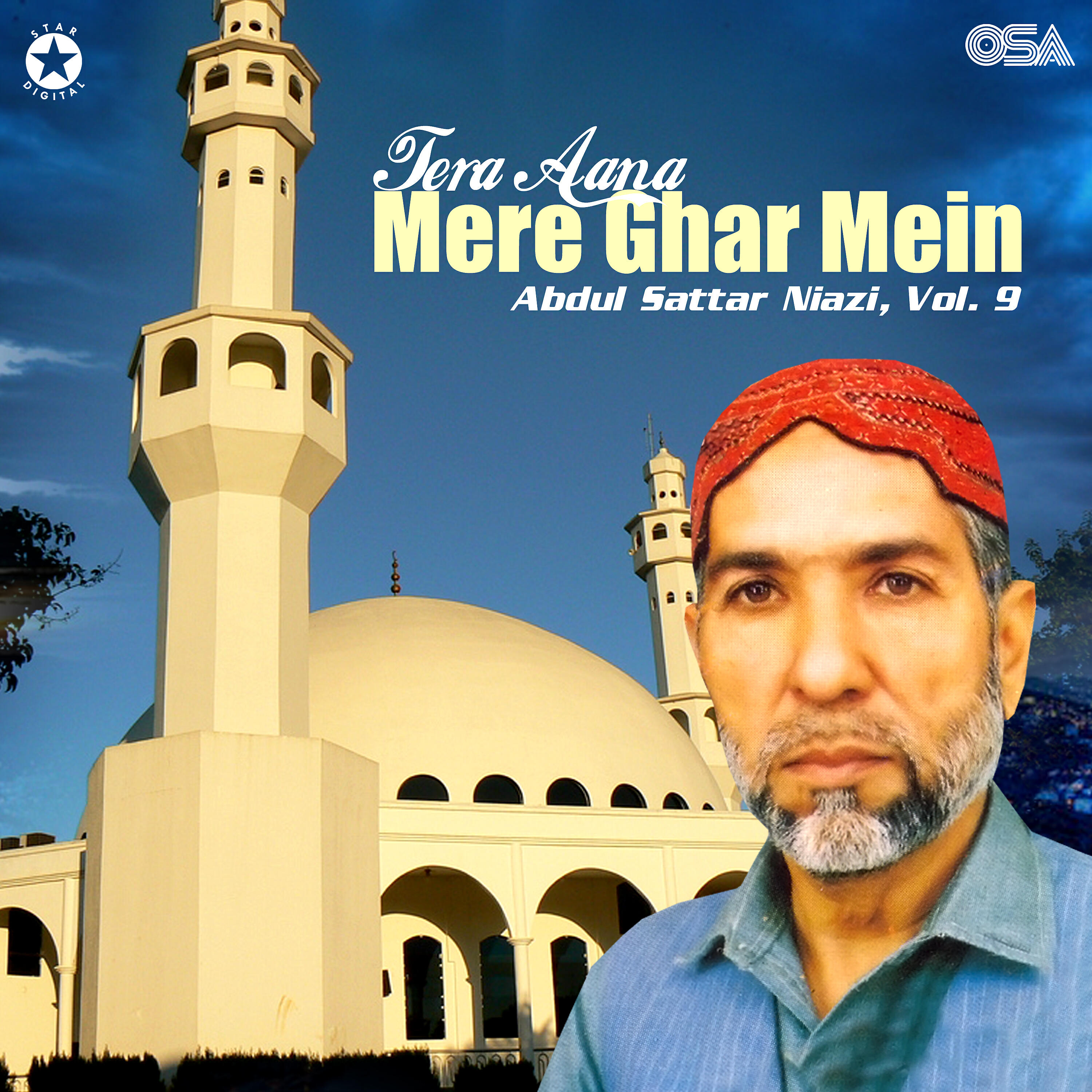 Релиз Tera Aana Mere Ghar Mein, Vol. 9