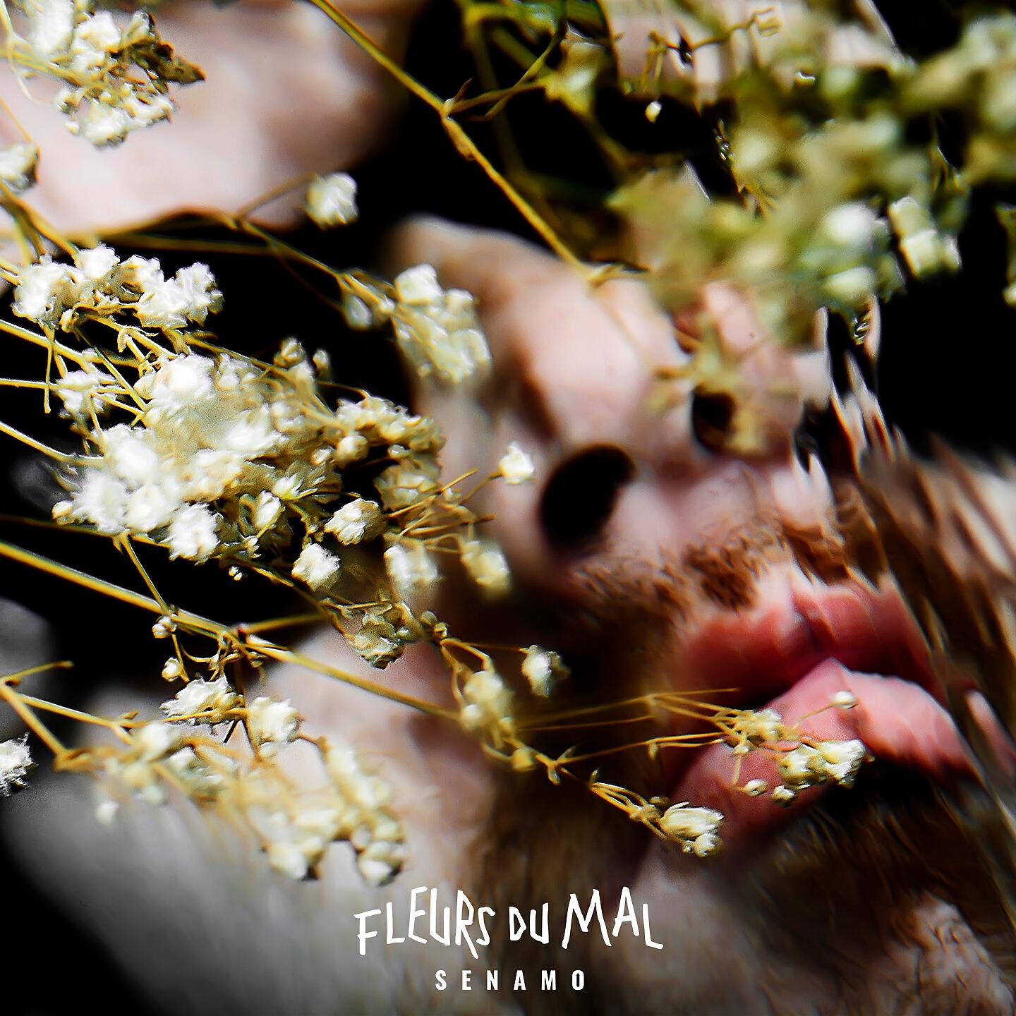 Релиз Fleurs du mal