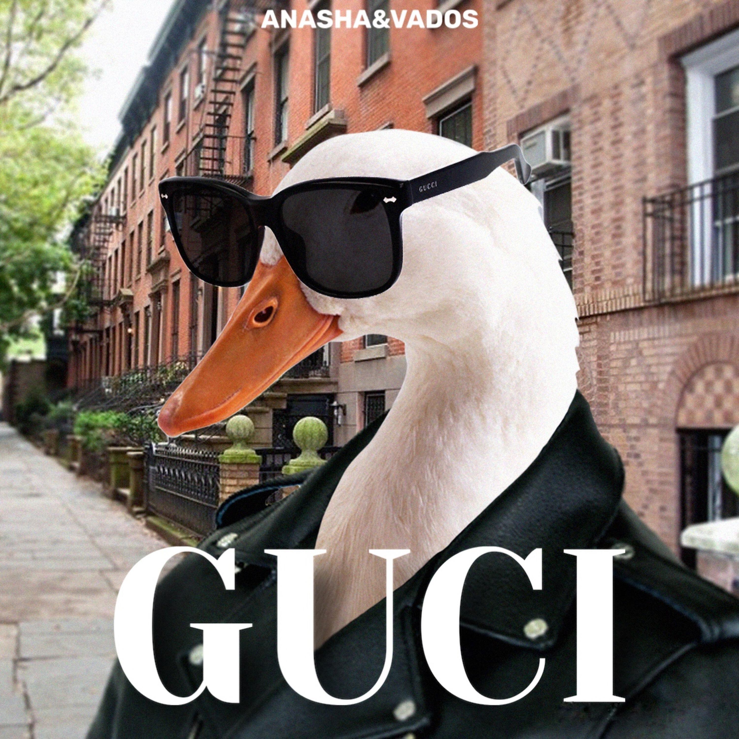 Релиз GUCI
