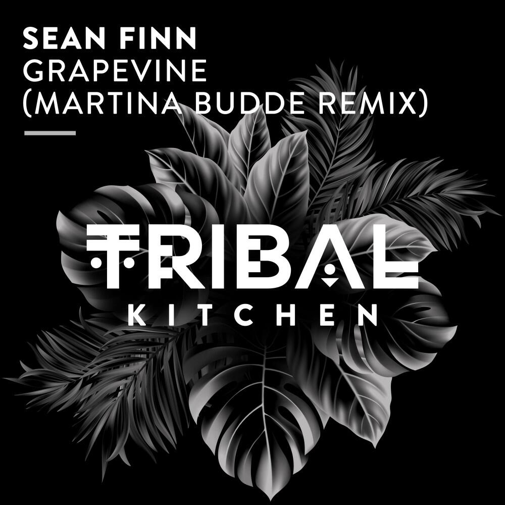 Релиз Grapevine (Martina Budde Remix)