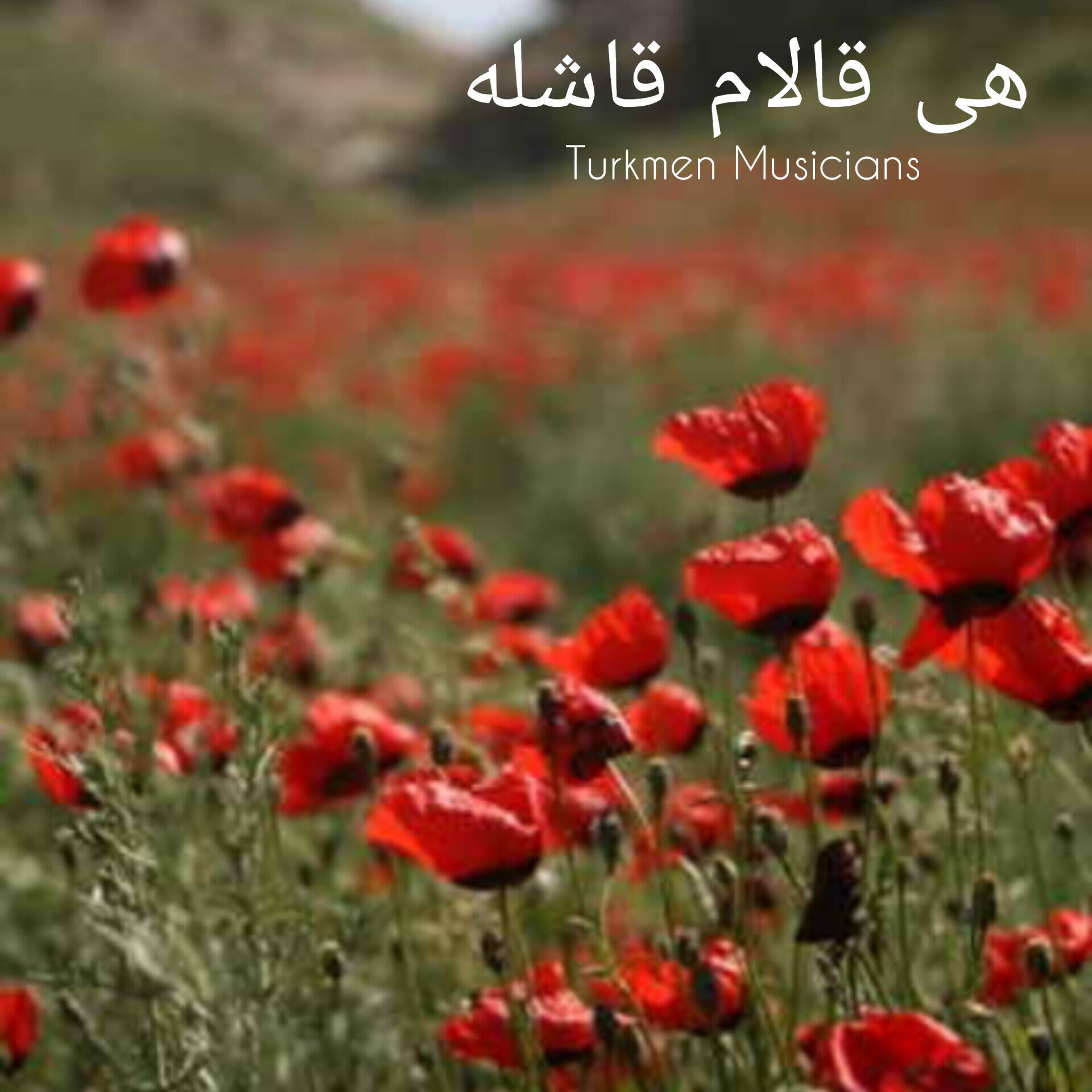 Релиз هی قالام قاشله