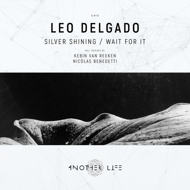 Релиз Silver Shining / Wait for It